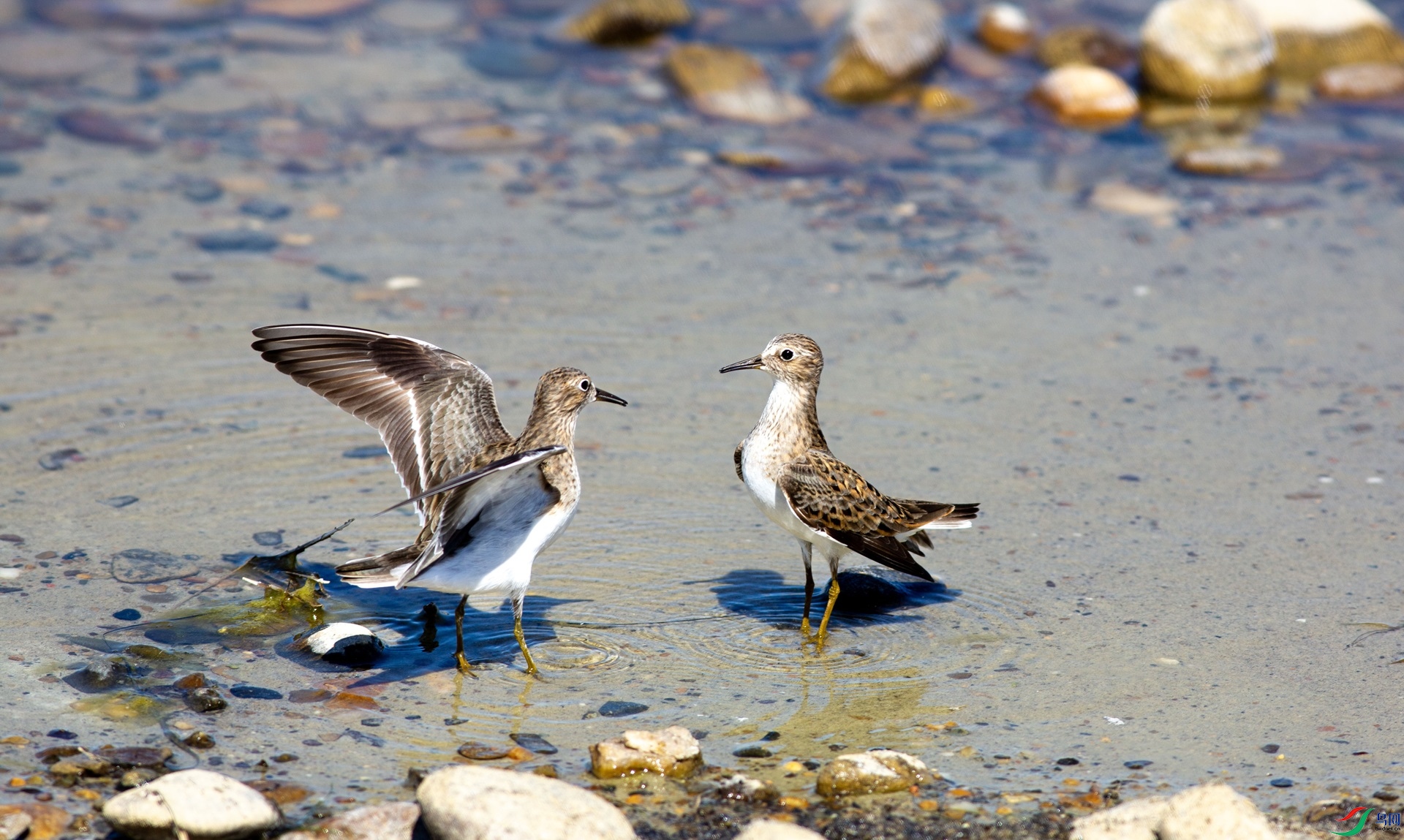 _���� ����.jpg