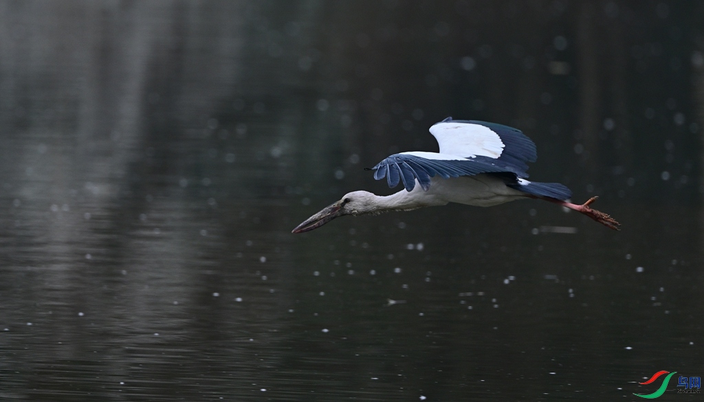 DSC_4348.JPG