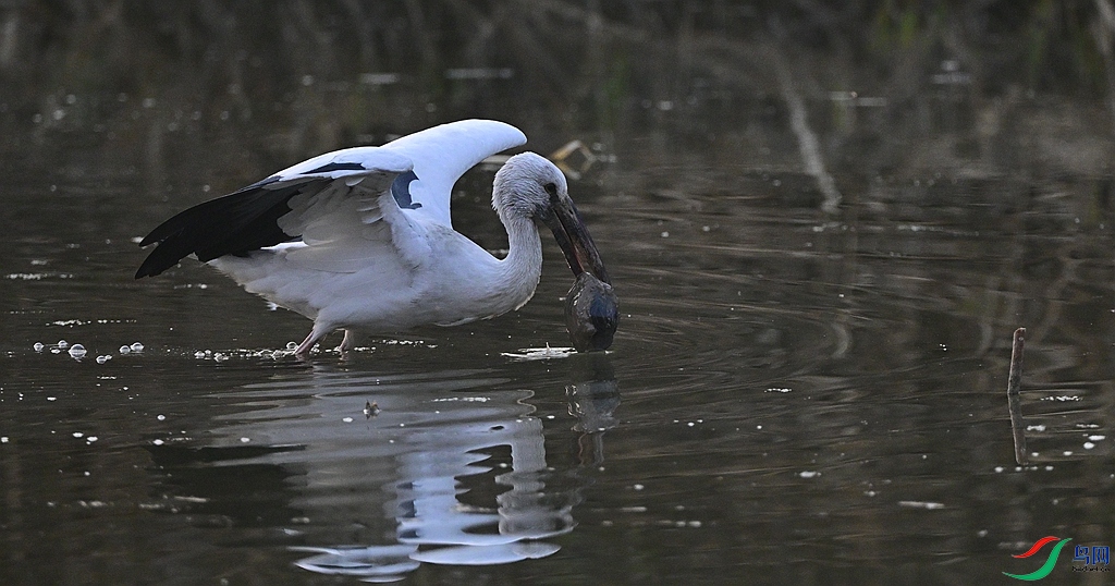 DSC_7664.JPG