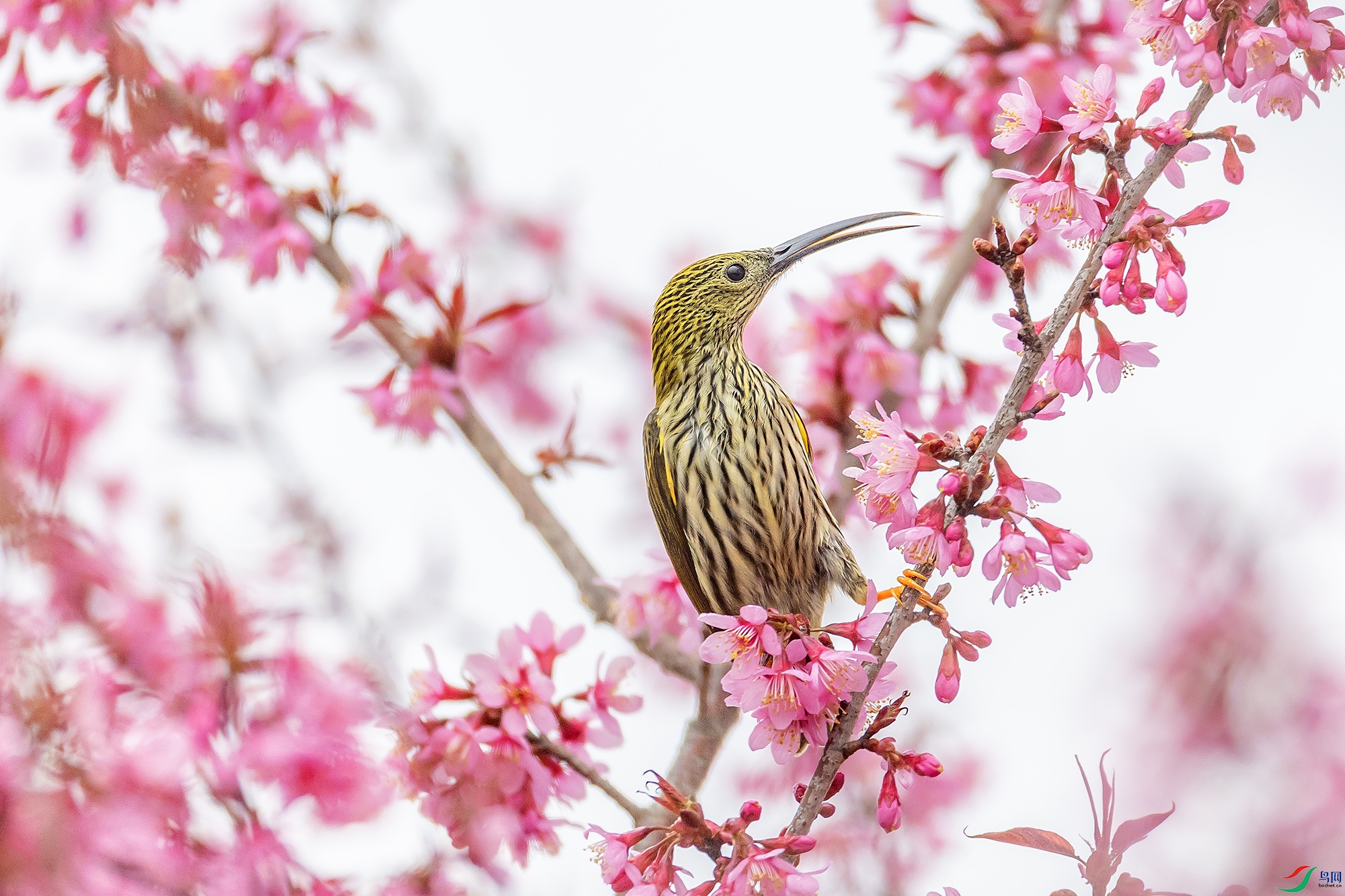 0F7A4214 ����.jpg