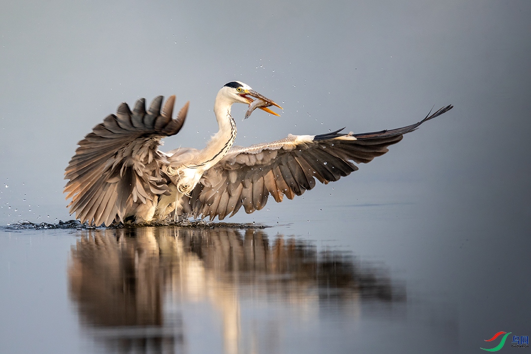 BN5I5020 ���� 2.jpg