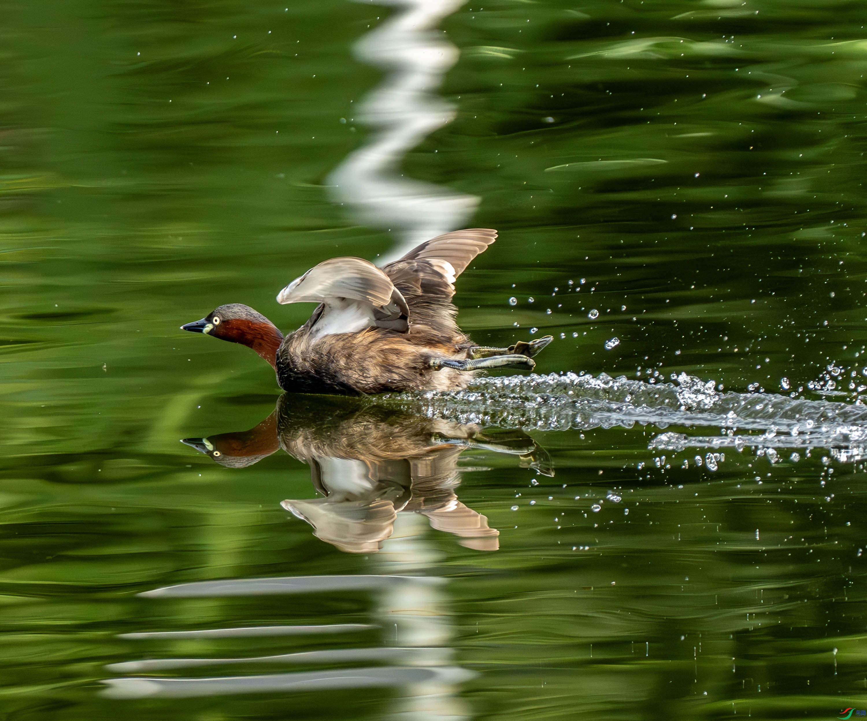 С�f-5-5.jpg