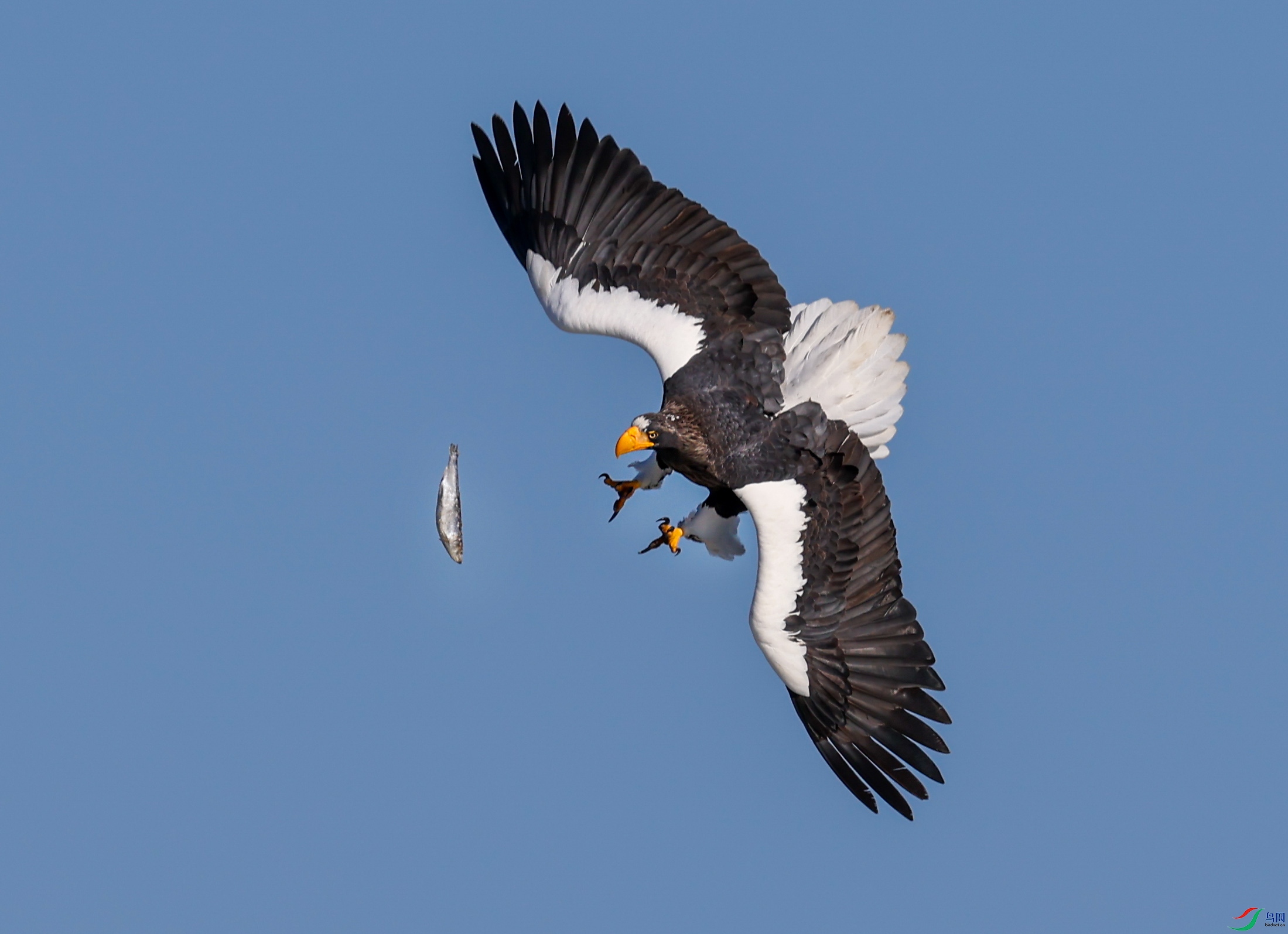 ��ͷ����