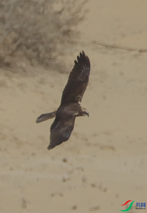 2V9A0323 - ����.png