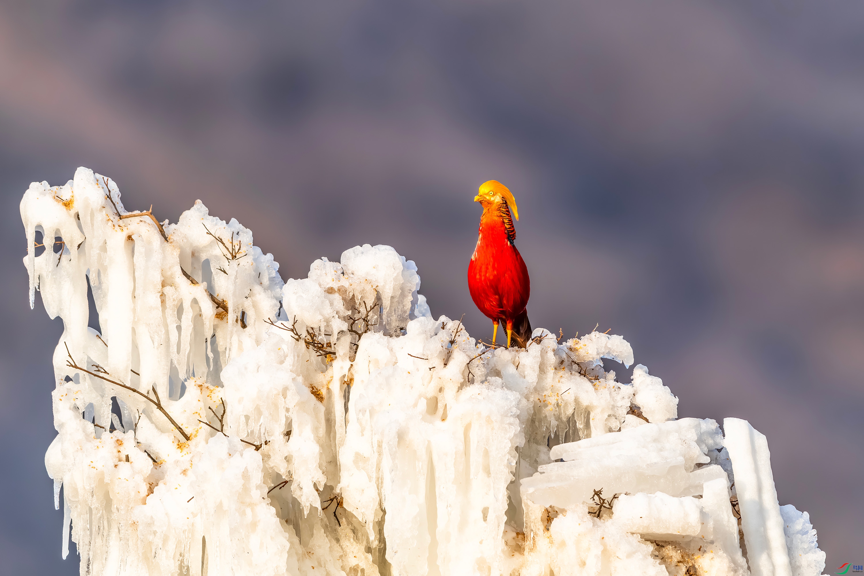 IMG_3280 ����.jpg