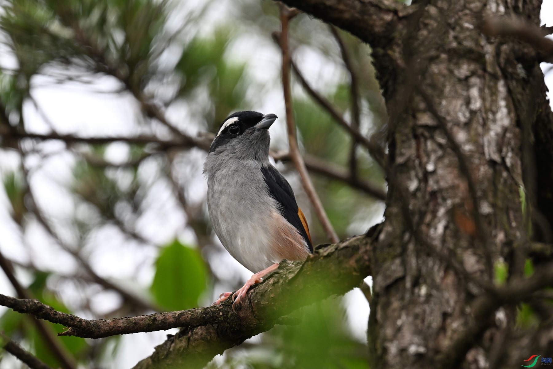 DSC_0682.JPG