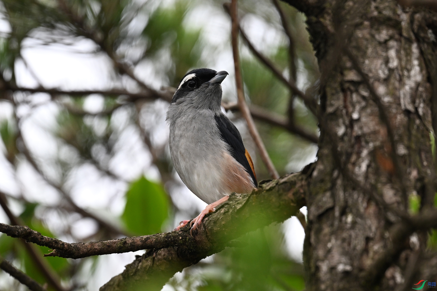 DSC_0683.JPG