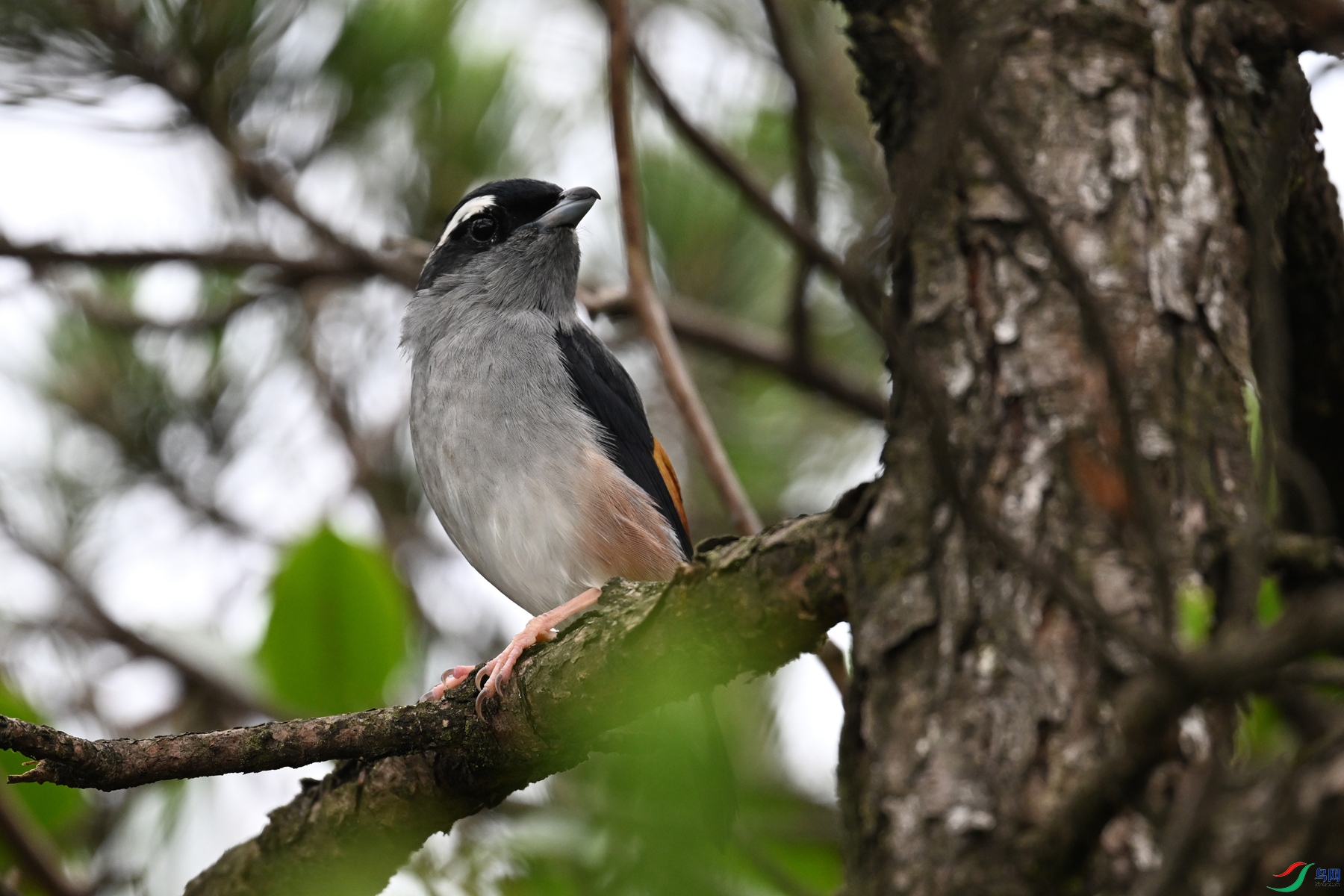 DSC_0684.JPG