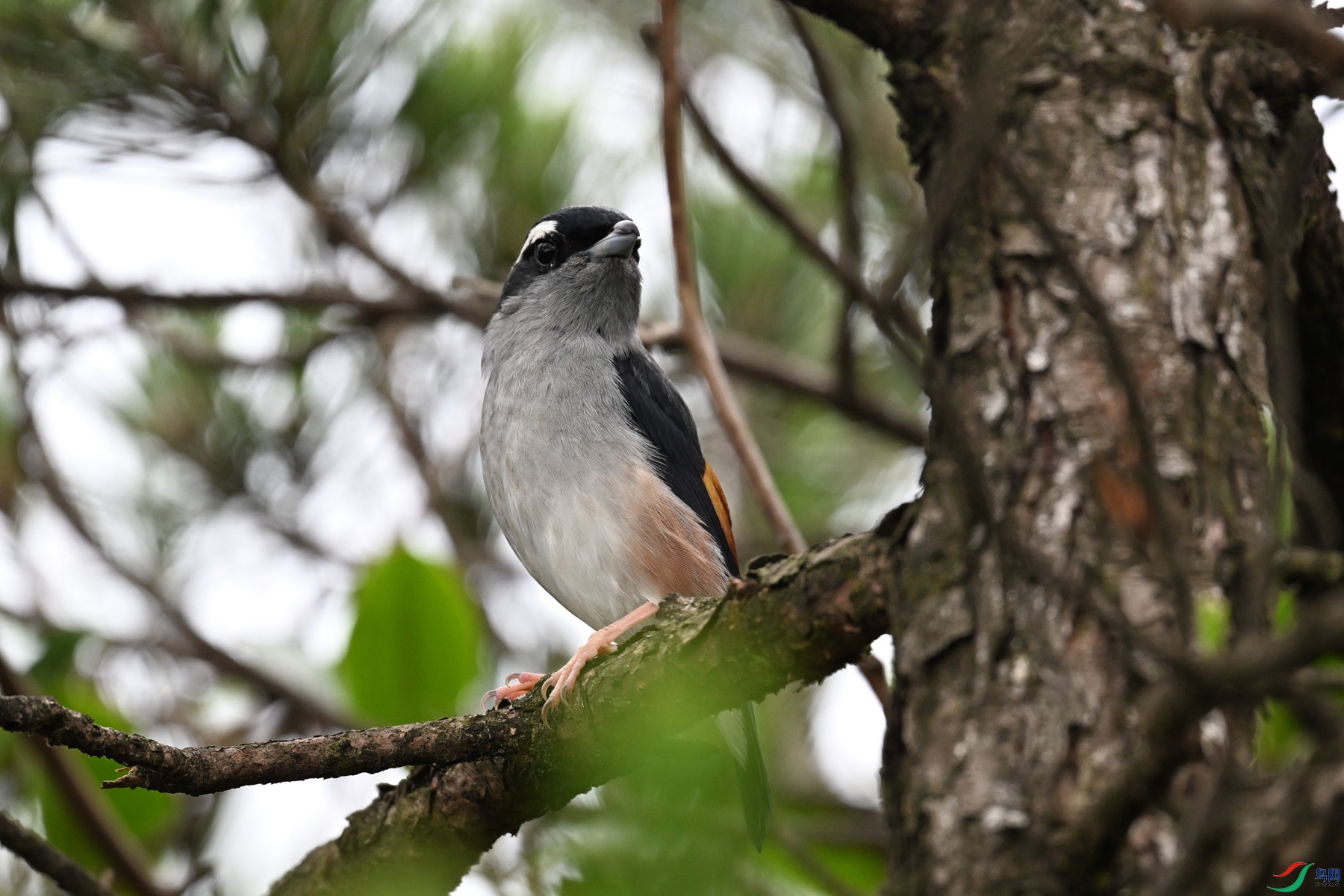 DSC_0685.JPG