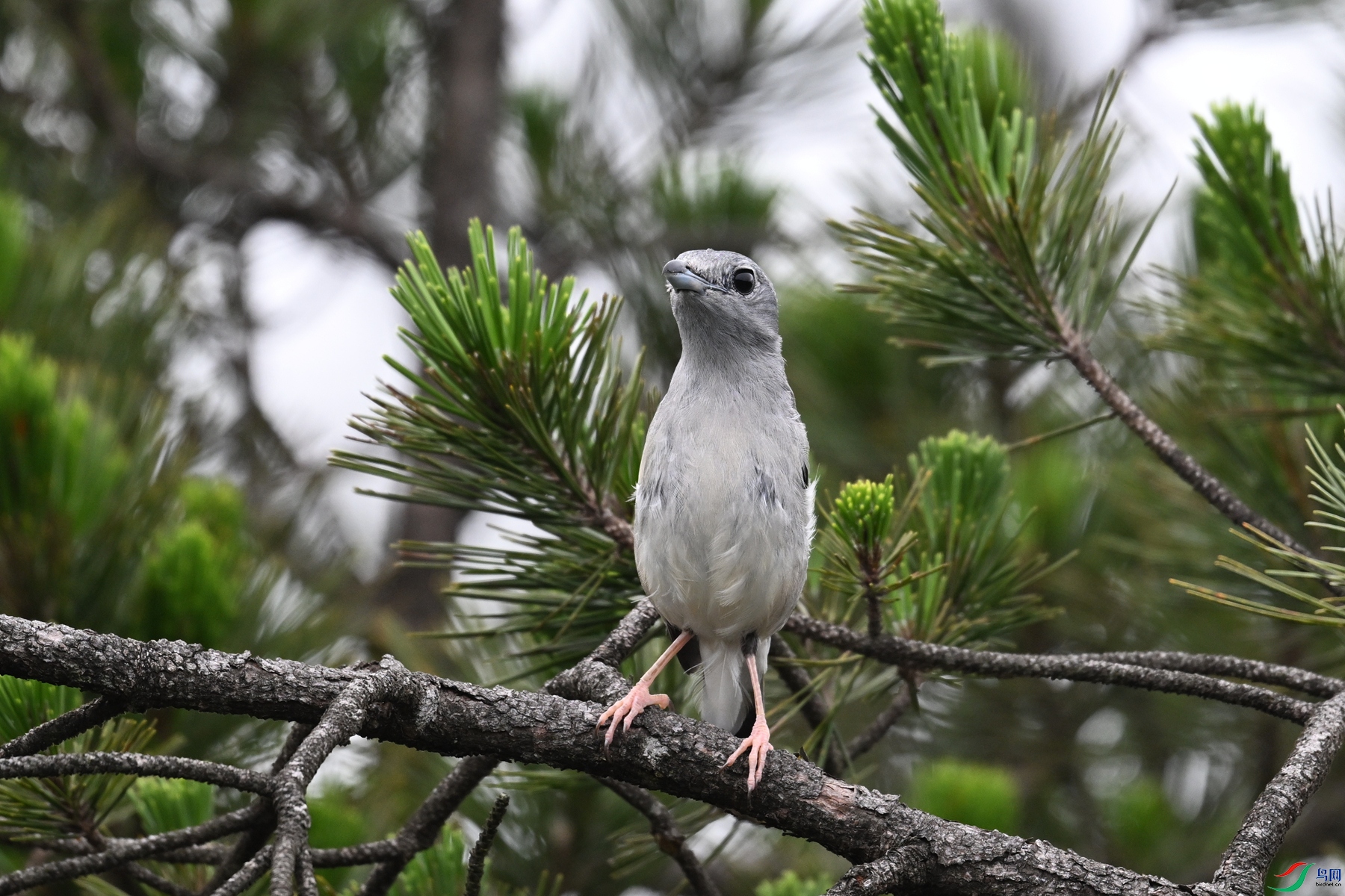 DSC_0714.JPG