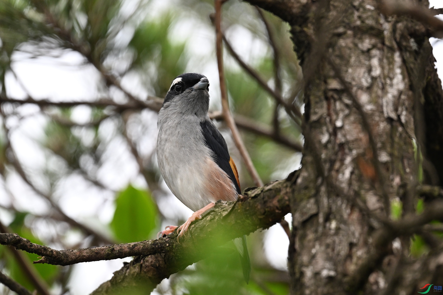 DSC_0687.JPG