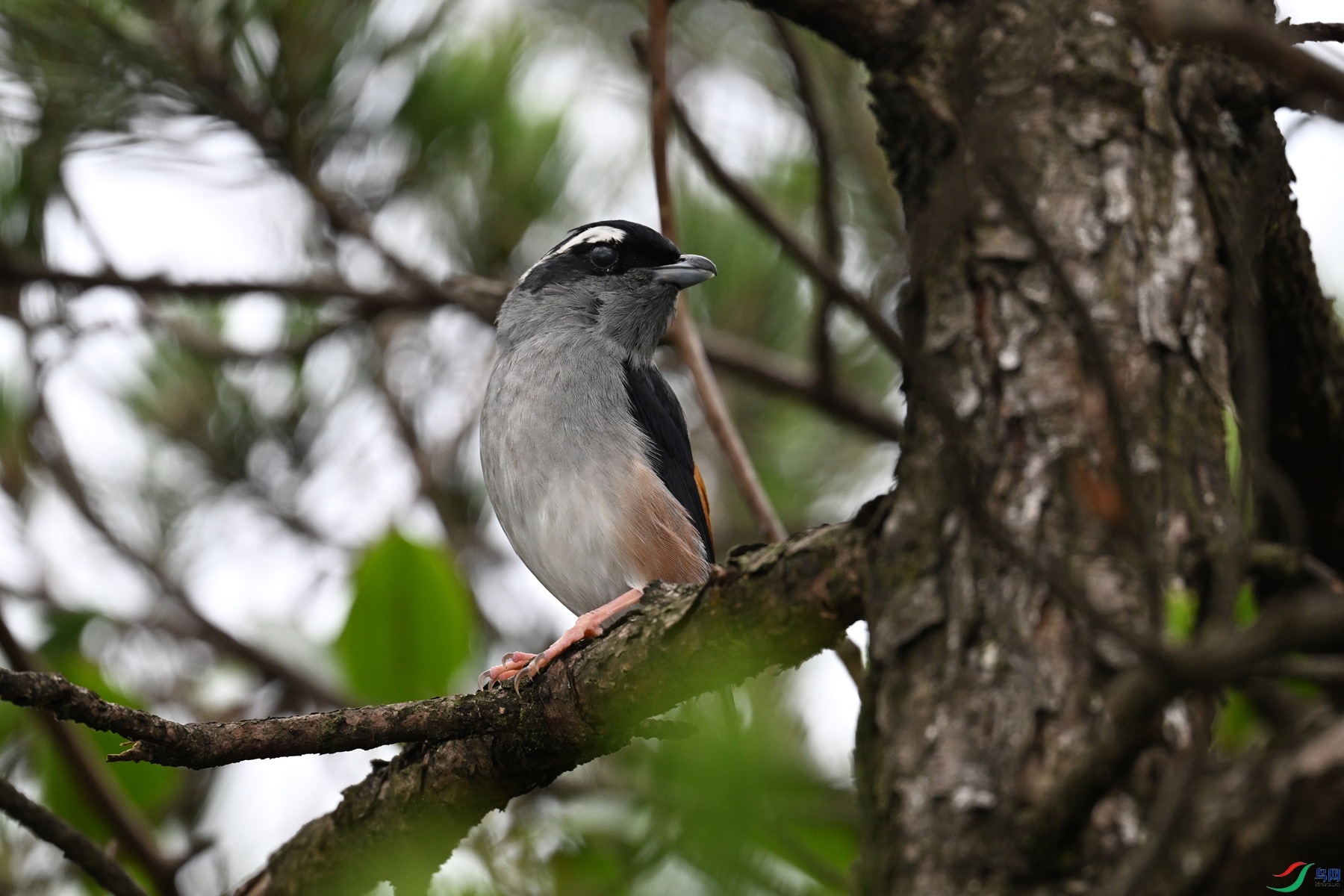 DSC_0690.JPG