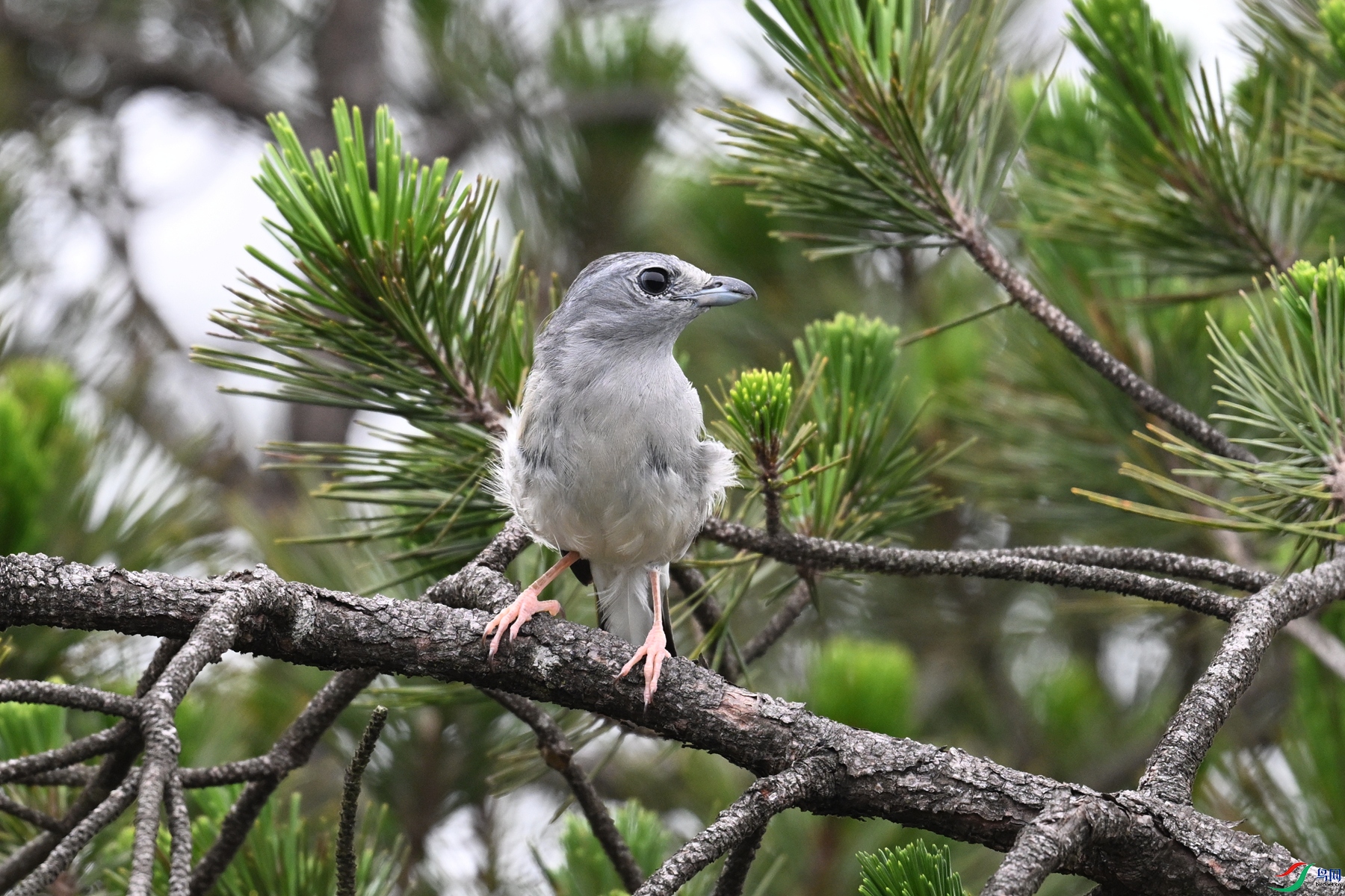 DSC_0703.JPG