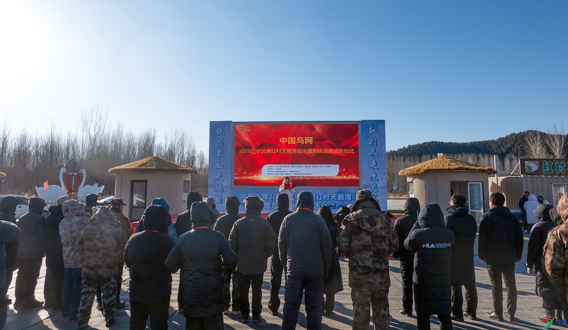 DSC08207 ����.jpg