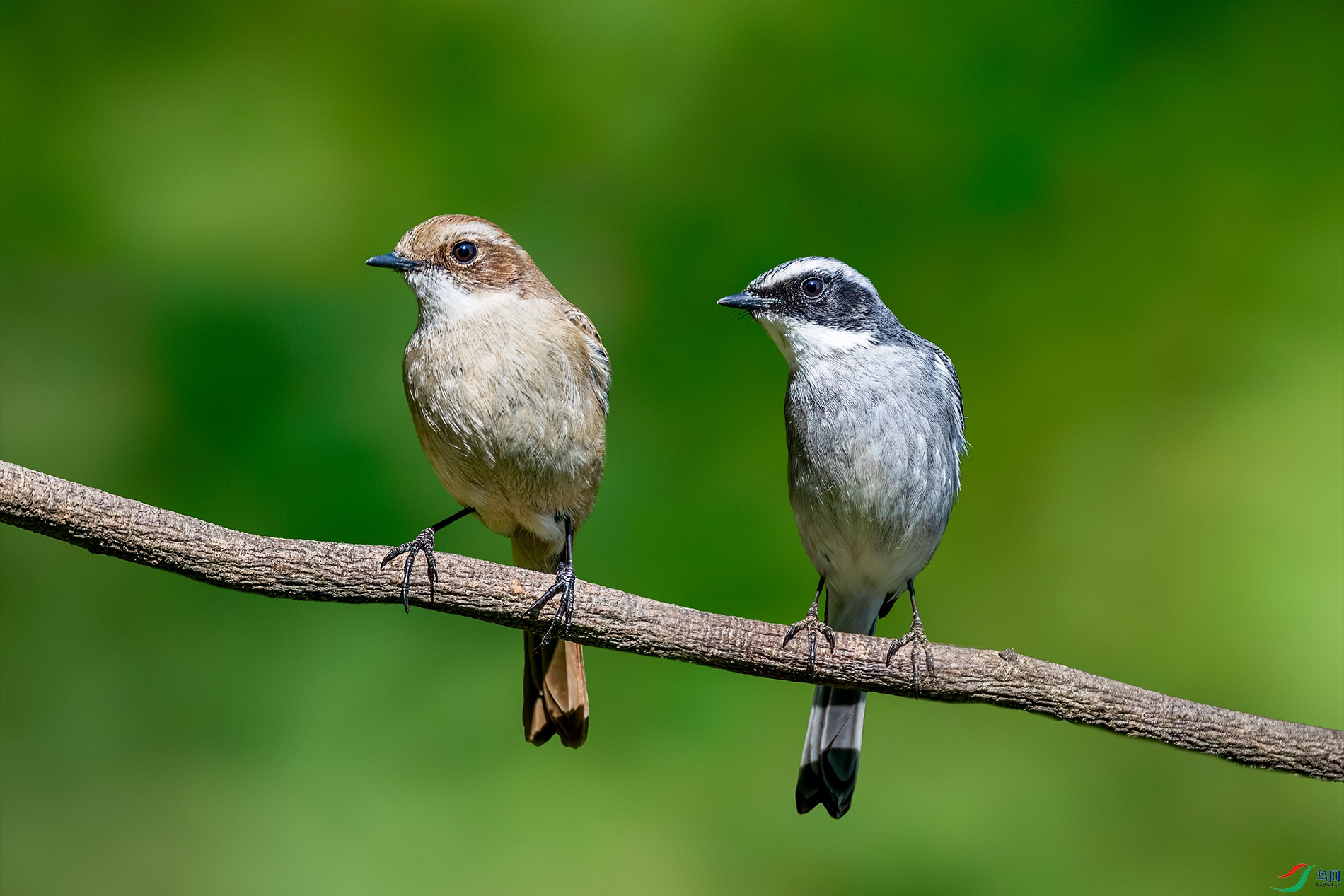 _DSC1401 ����С.jpg