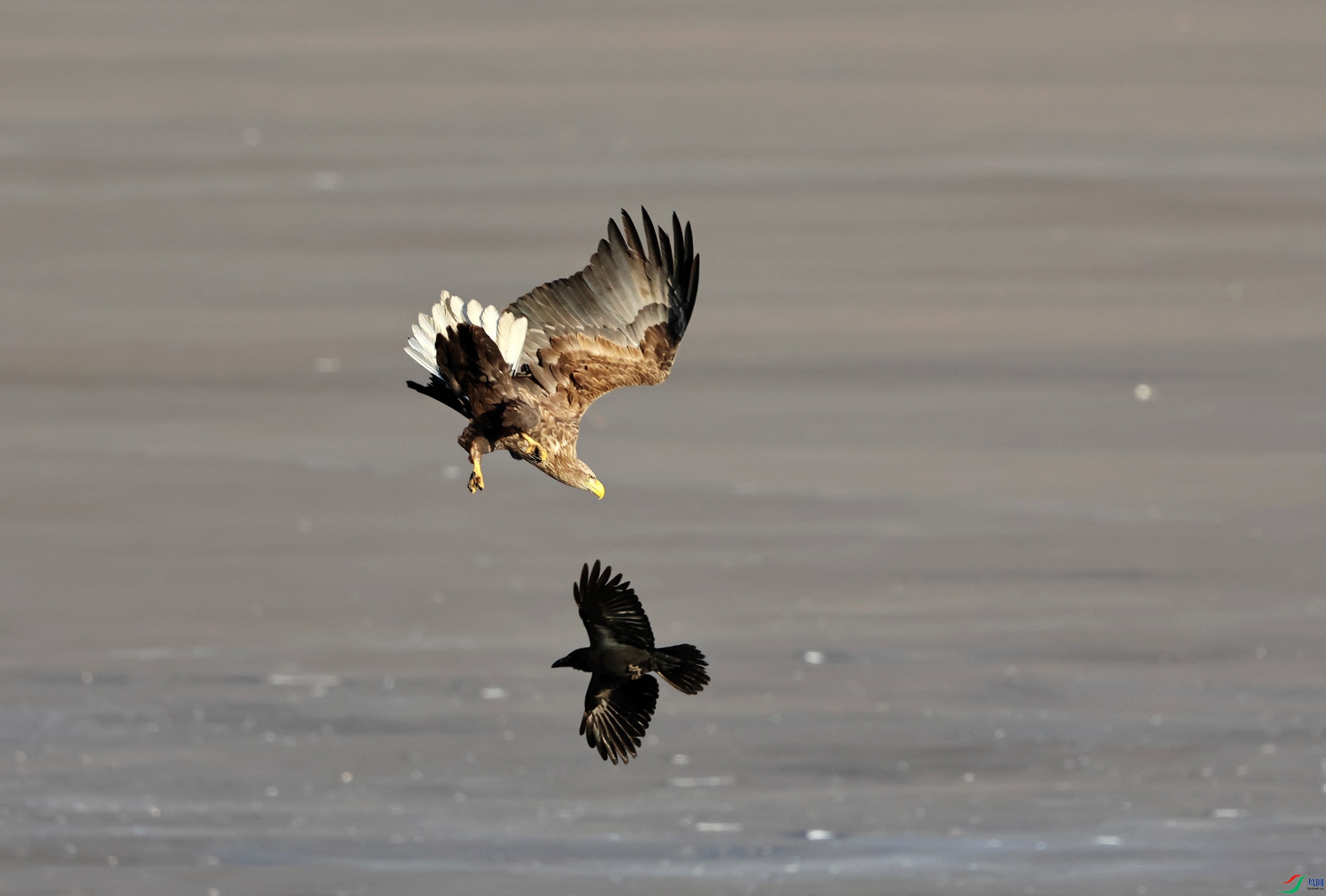 ��β���� (129).JPG