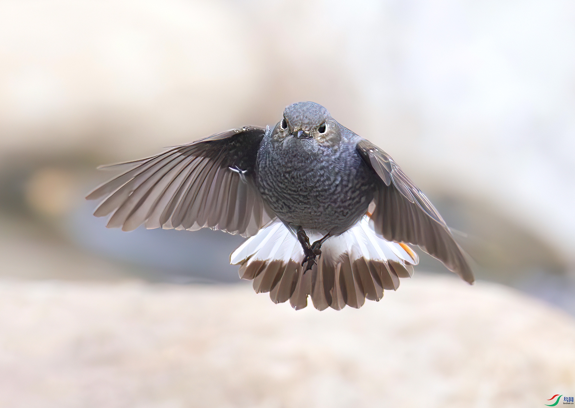 407A1098-----33  .jpg