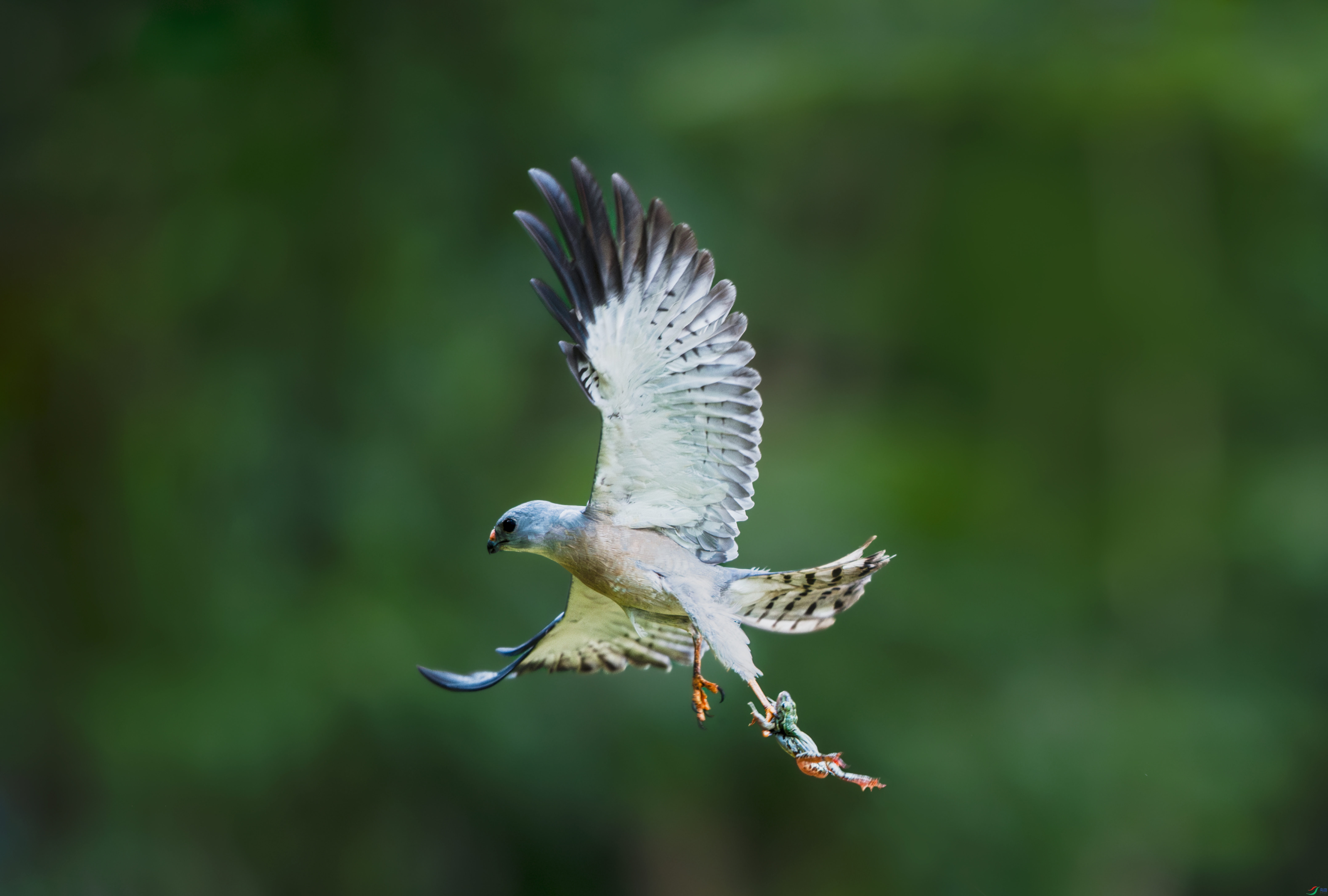 DSC_4849.jpg