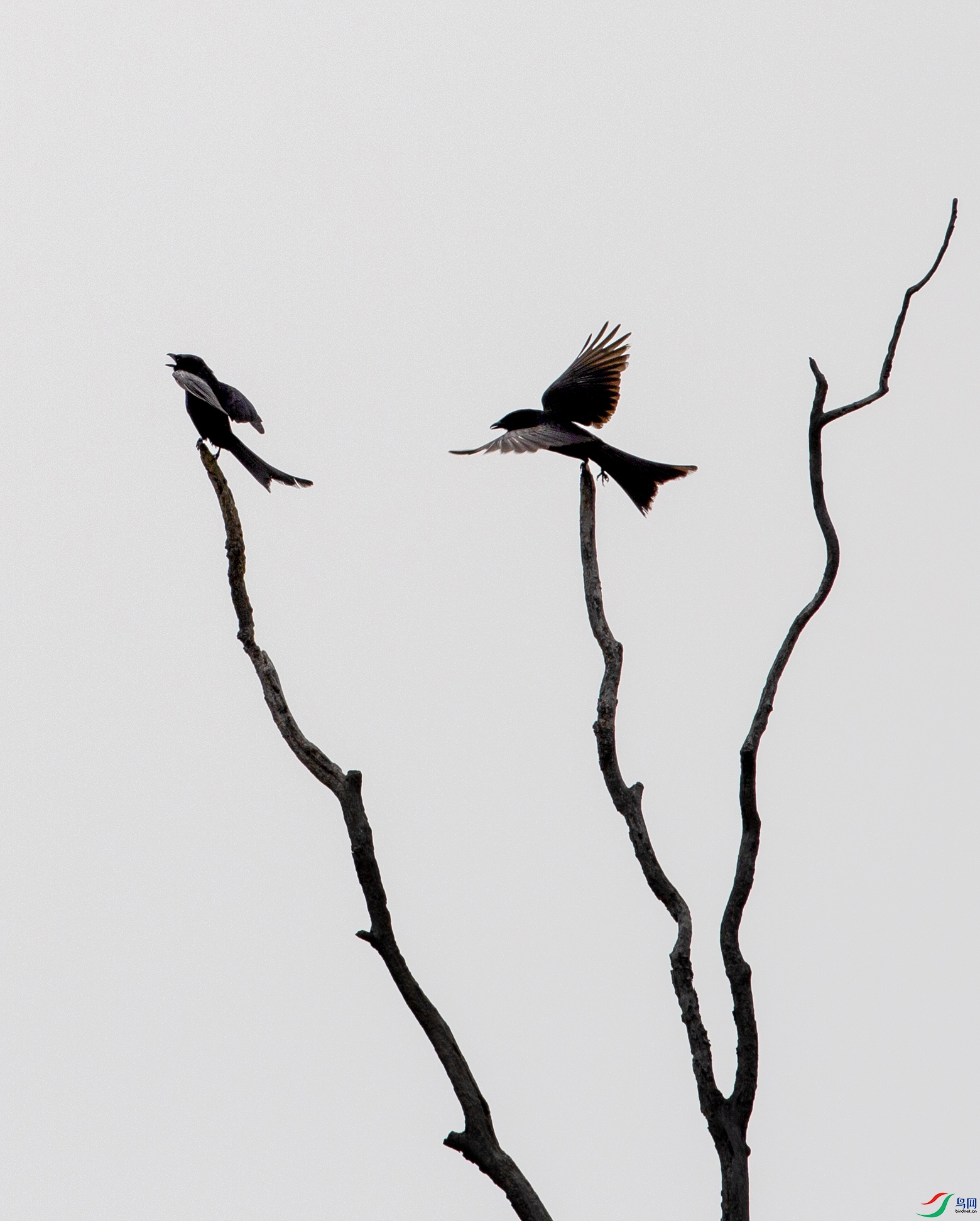 673A9044 ����.jpg