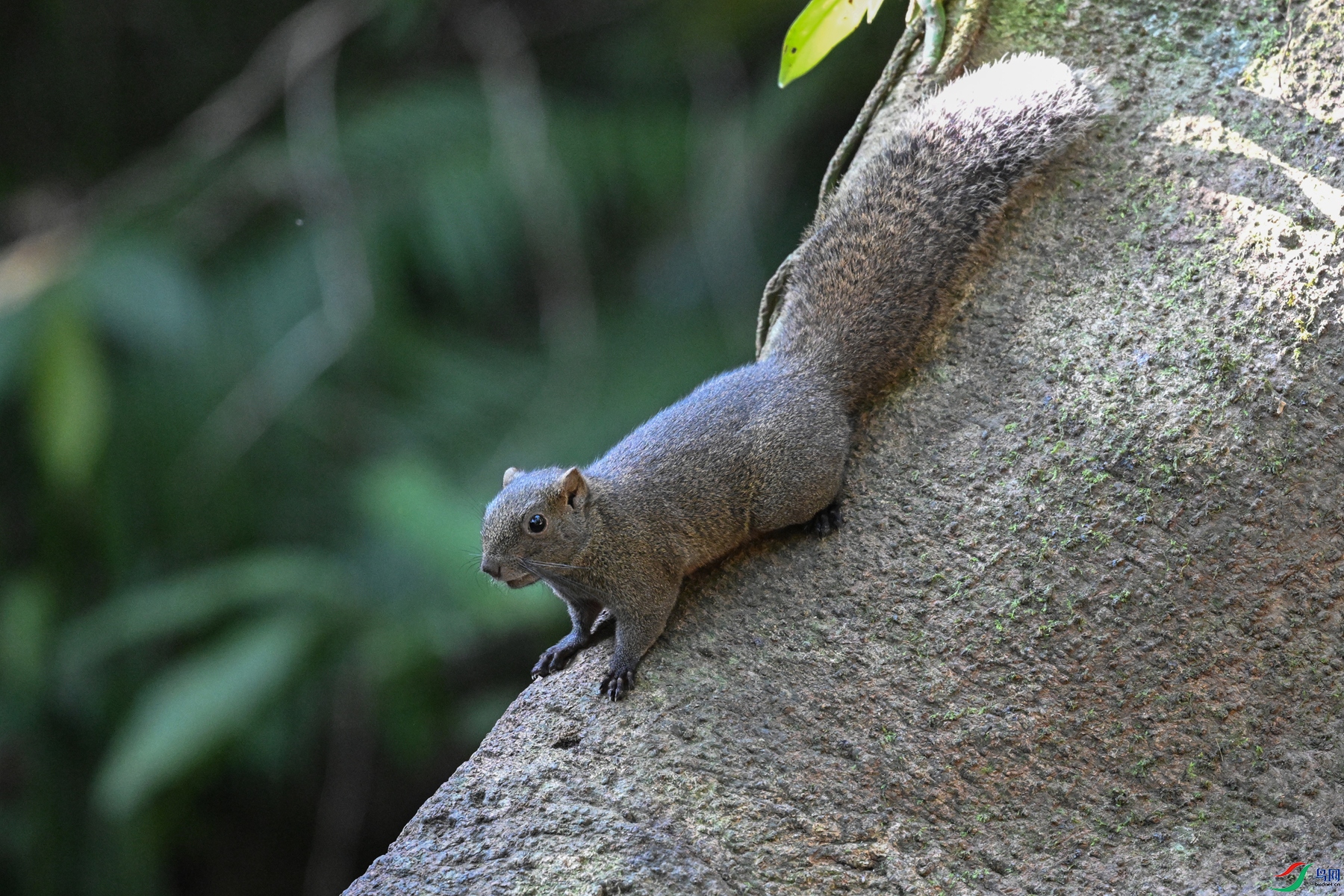 DSC_6511.JPG