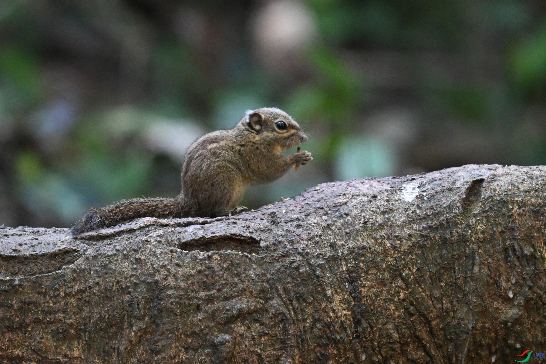 DSC_6549.JPG