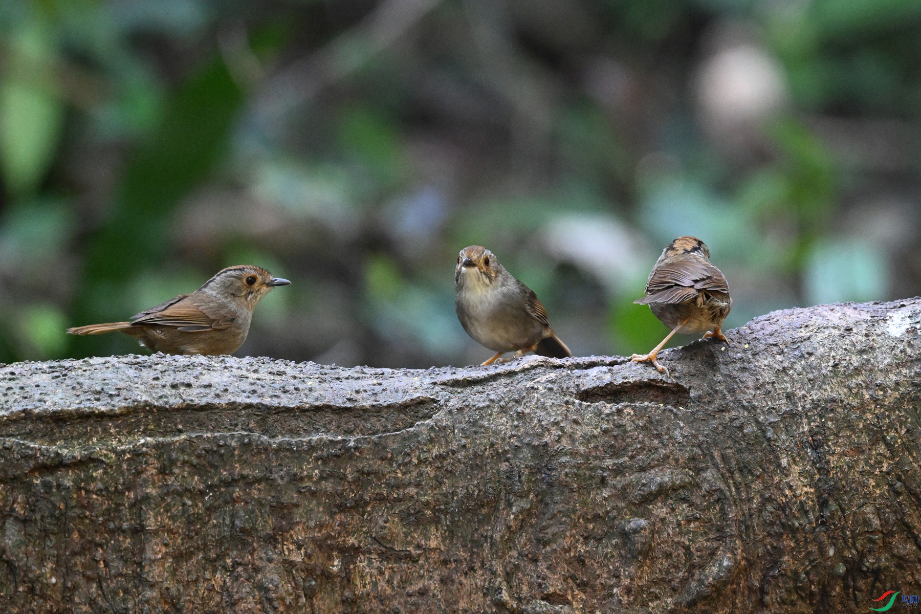 DSC_6530.JPG
