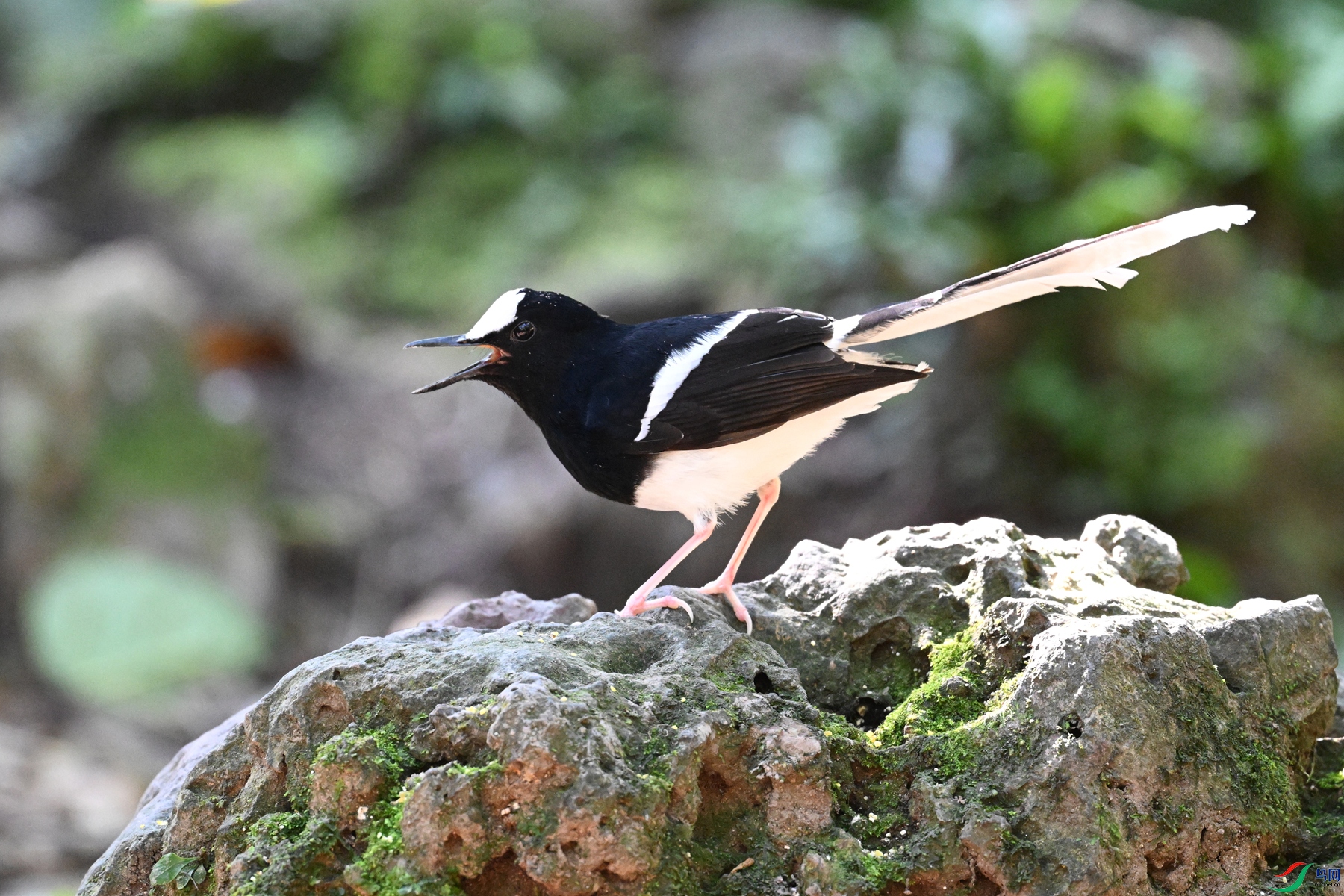 DSC_6561.JPG