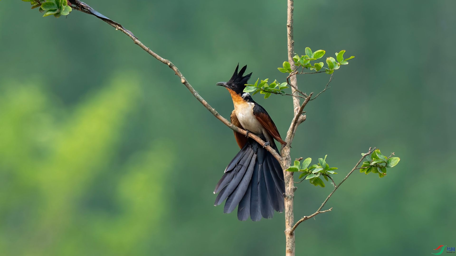 DSC07213 ����.jpg