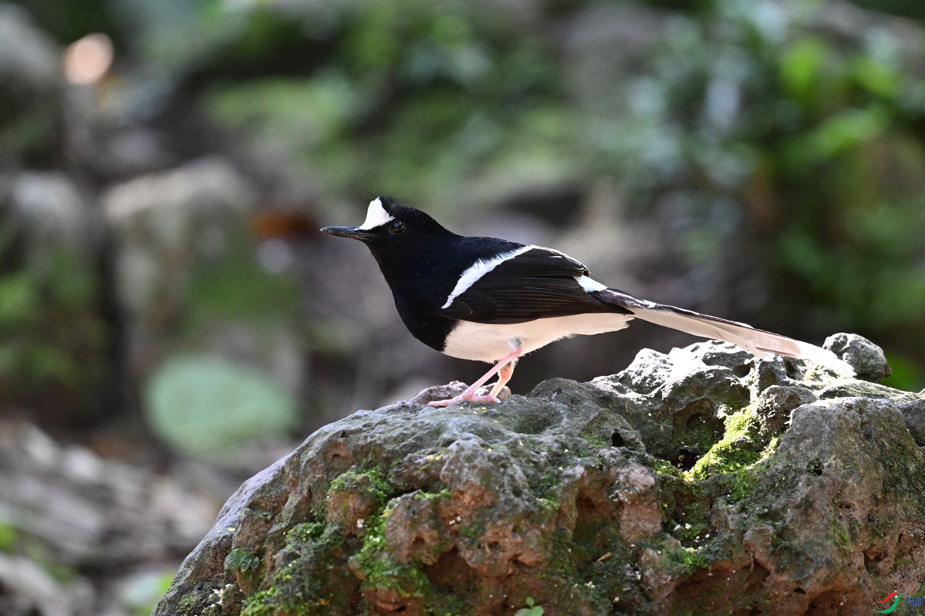 DSC_6563.JPG