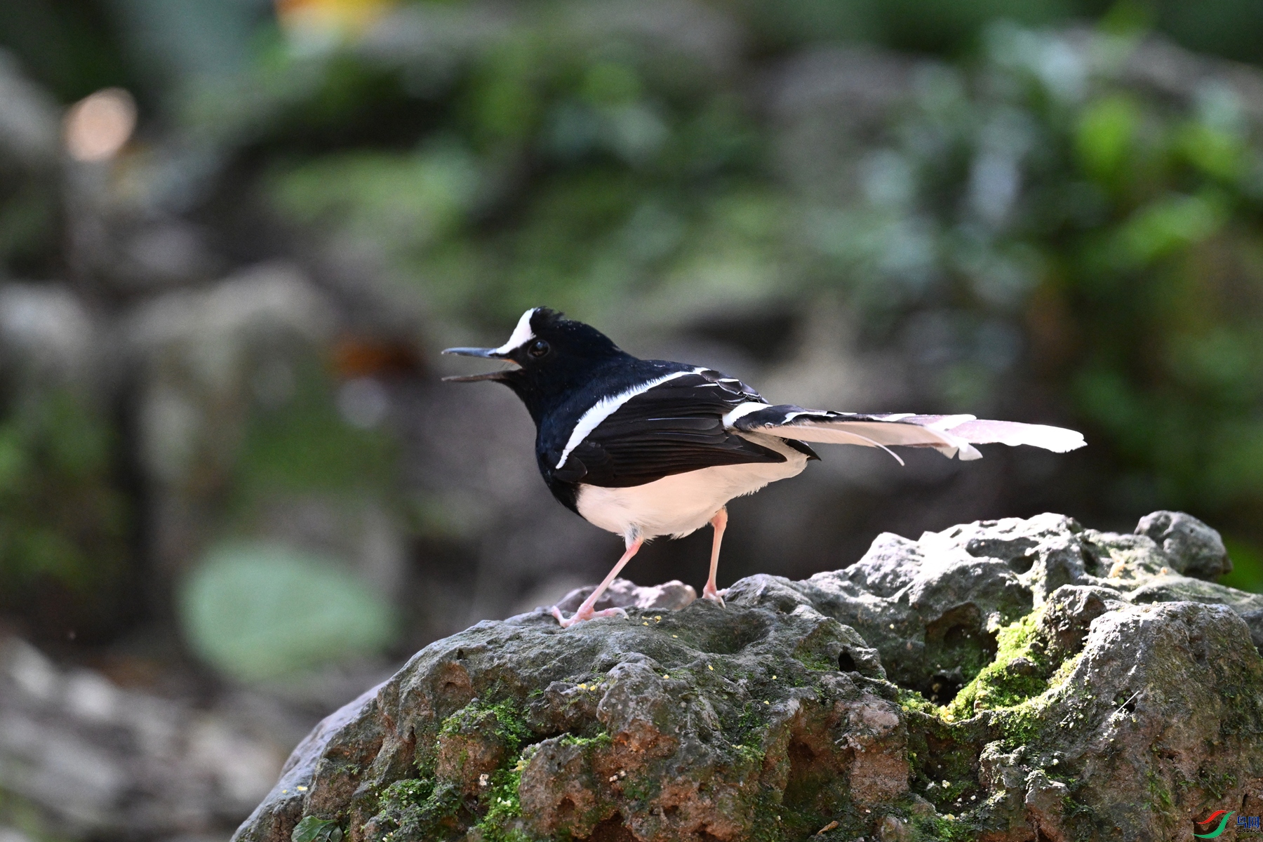 DSC_6564.JPG
