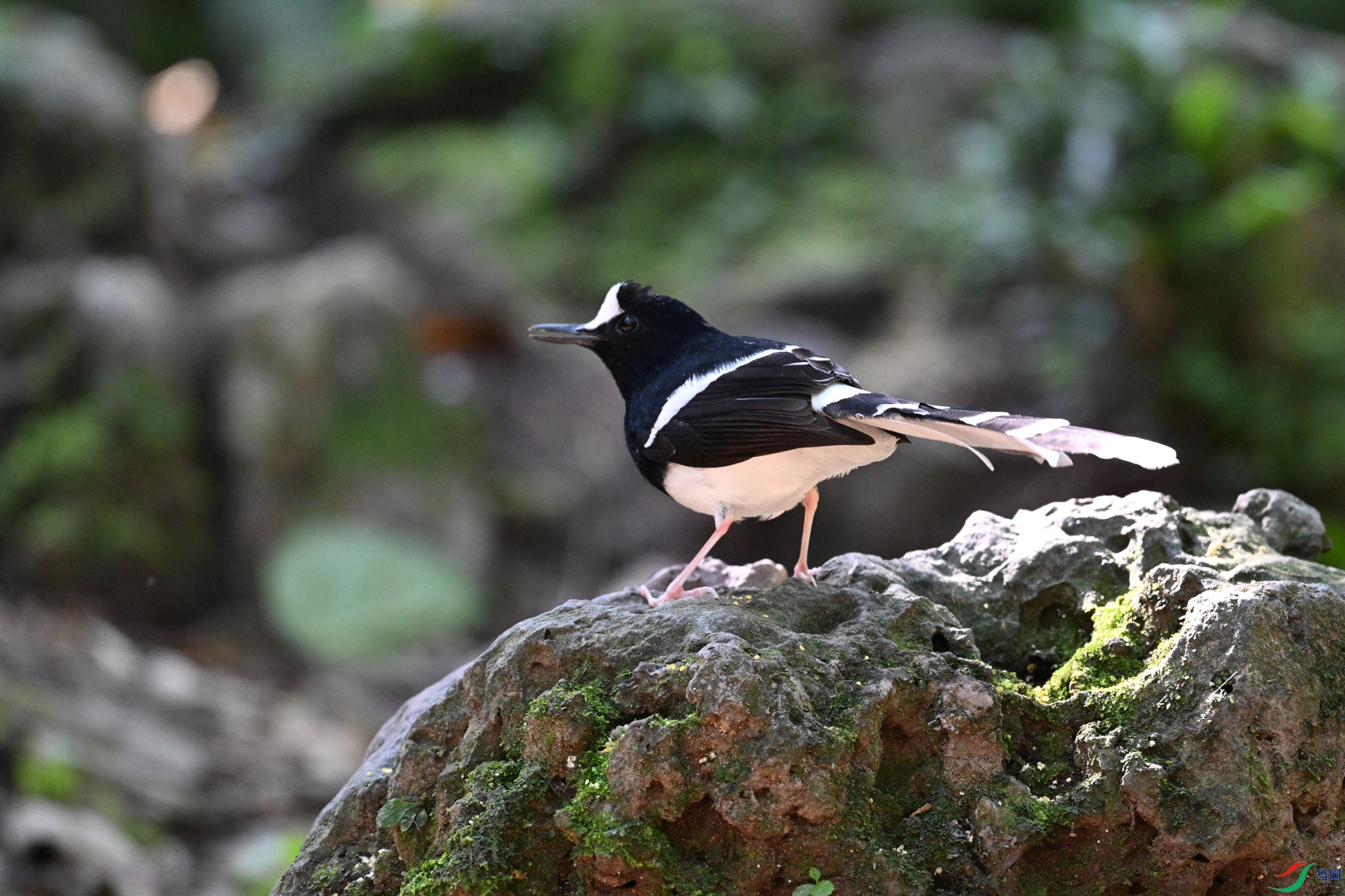 DSC_6565.JPG