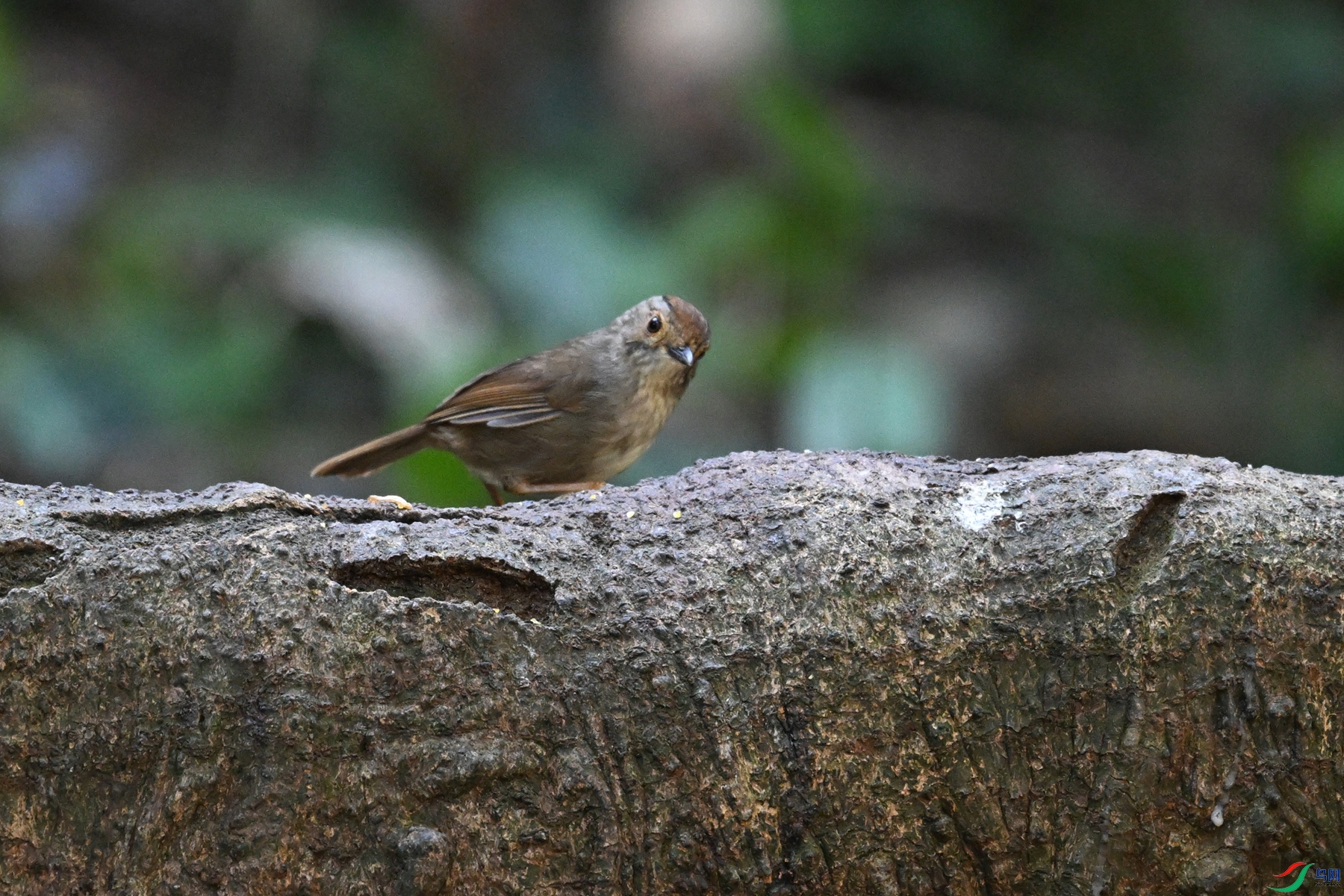 DSC_6548.JPG