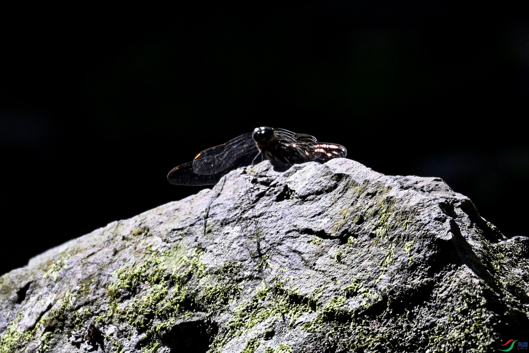 DSC_6570.JPG