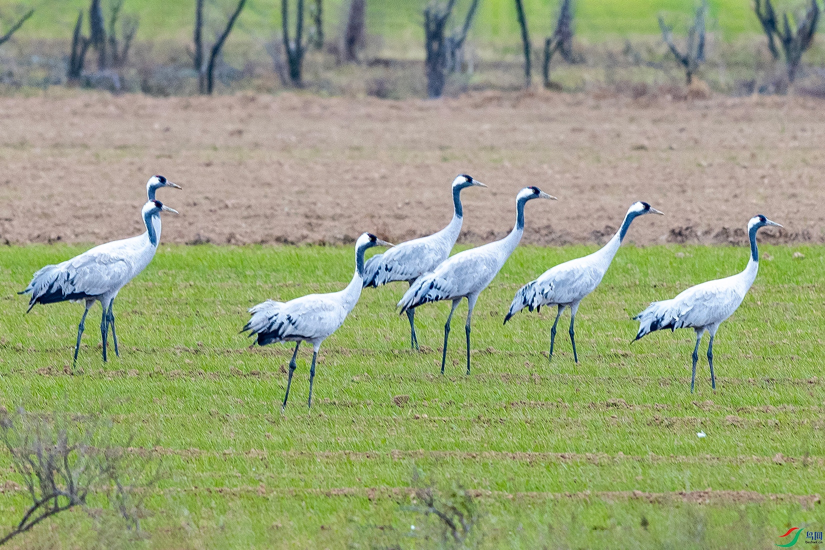 IMG_8945 ����.jpg