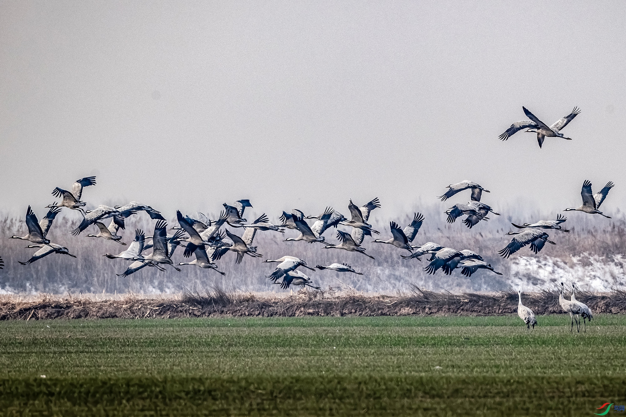 IMG_9791 ����.jpg