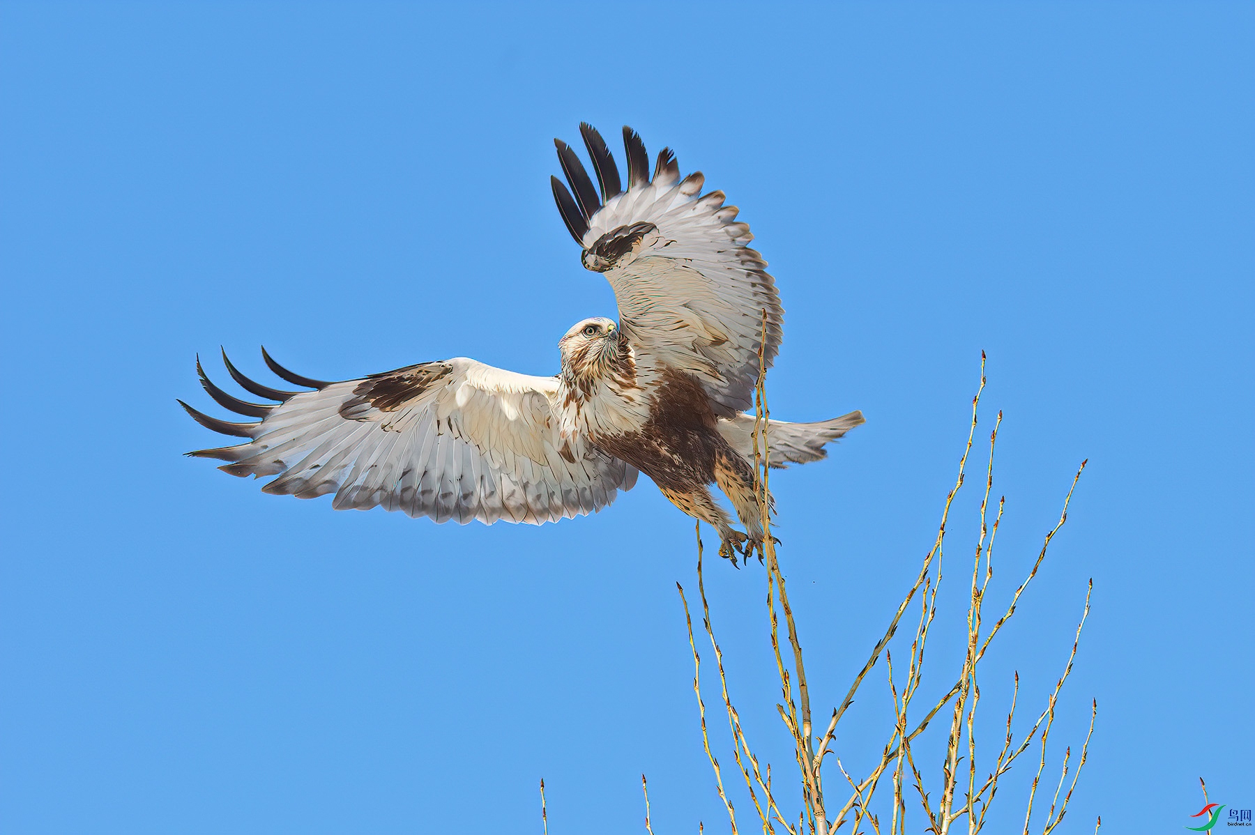 L03_9850-1.jpg