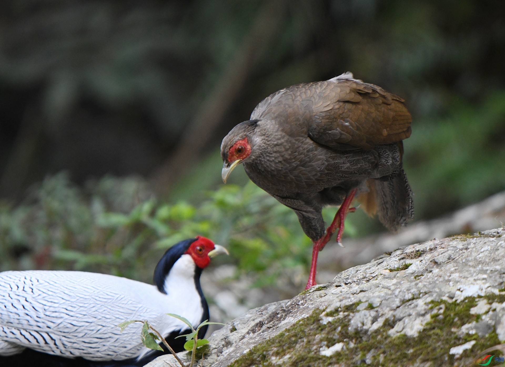 DSC_0661.jpg