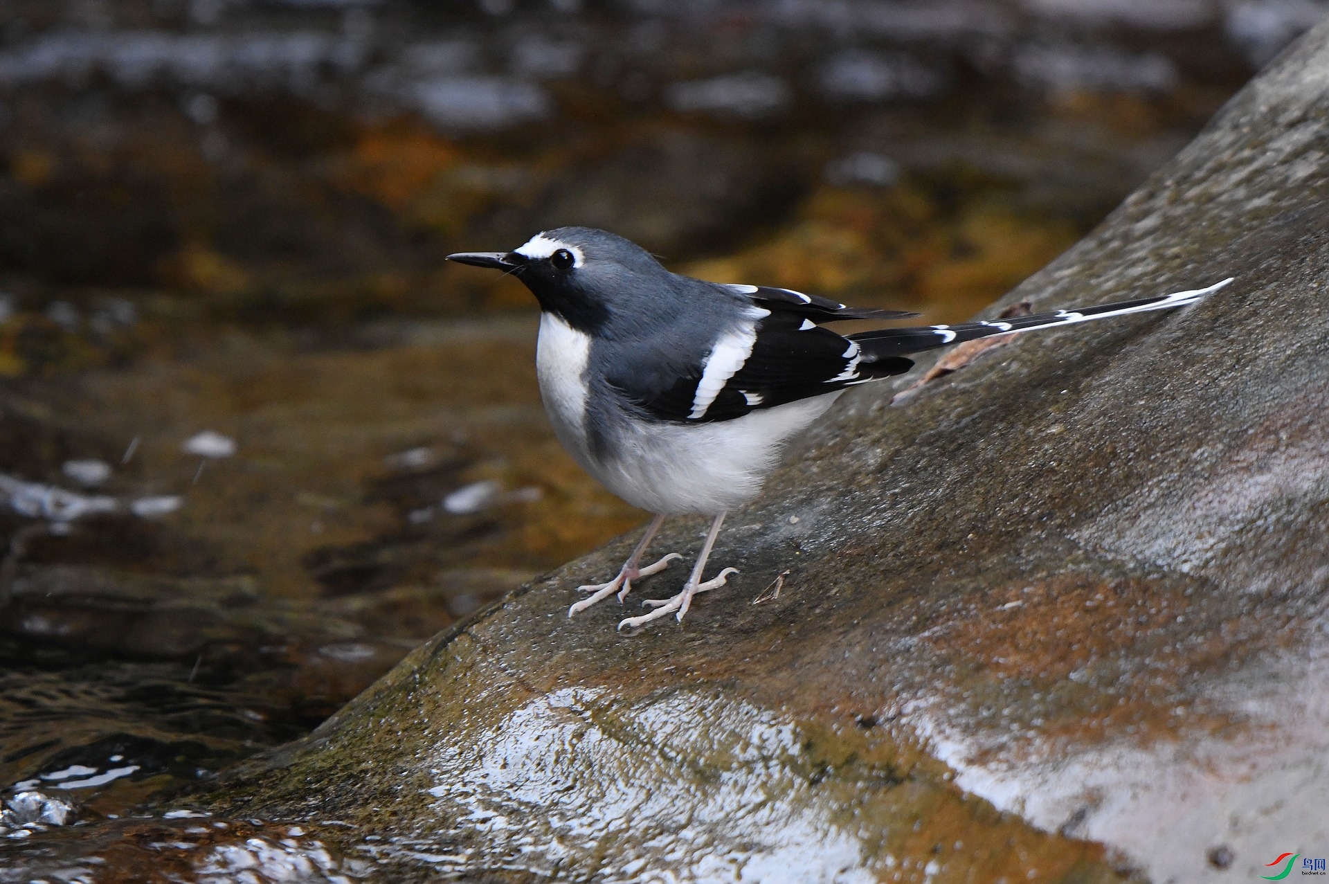 DSC_0725.jpg