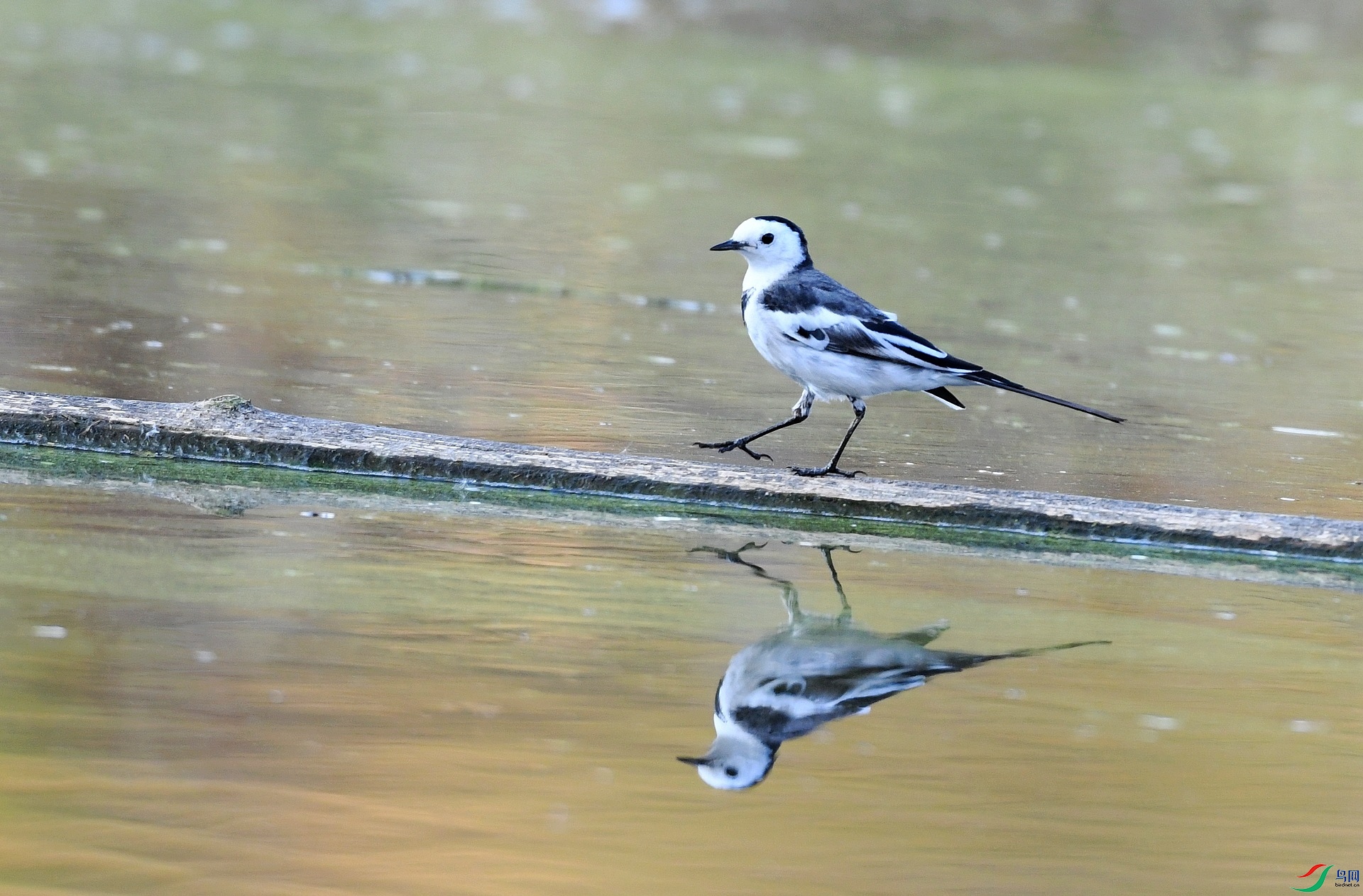 DSC_2042.jpg