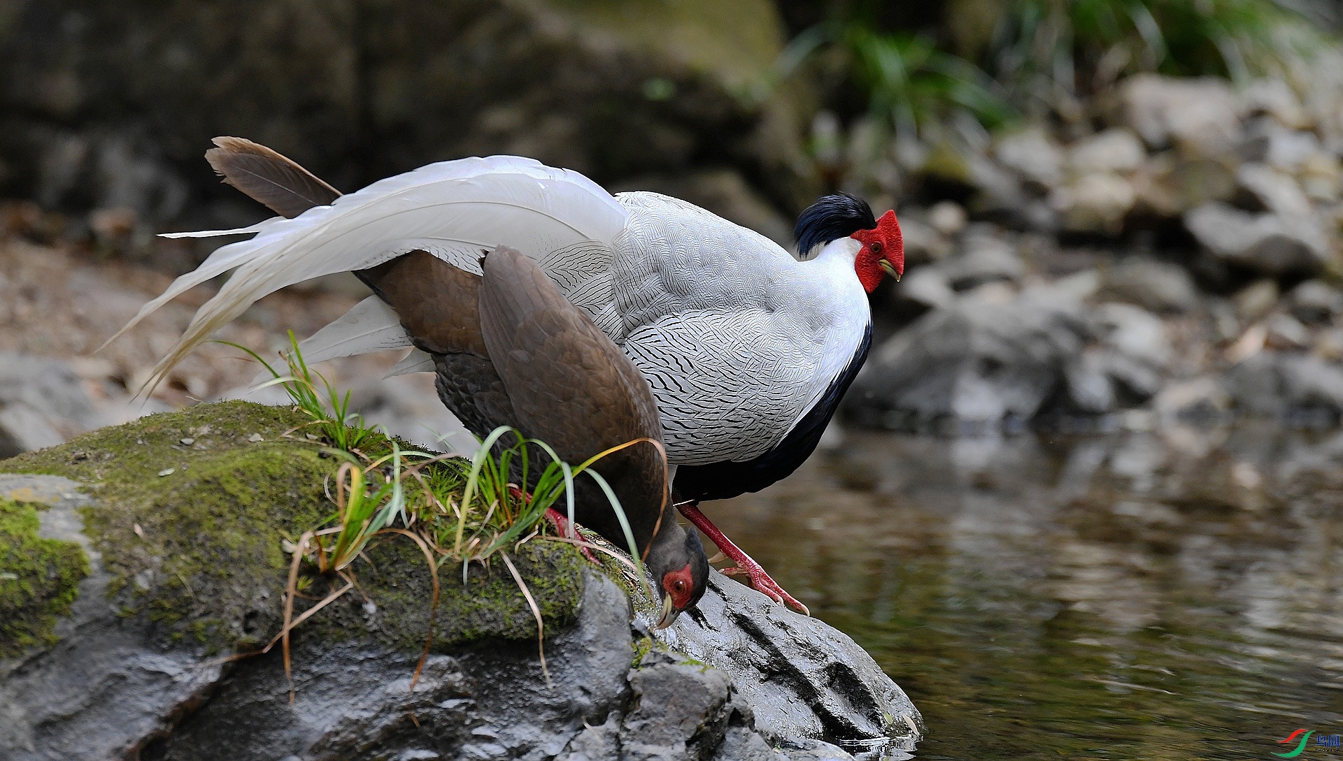 DSC_2245.jpg