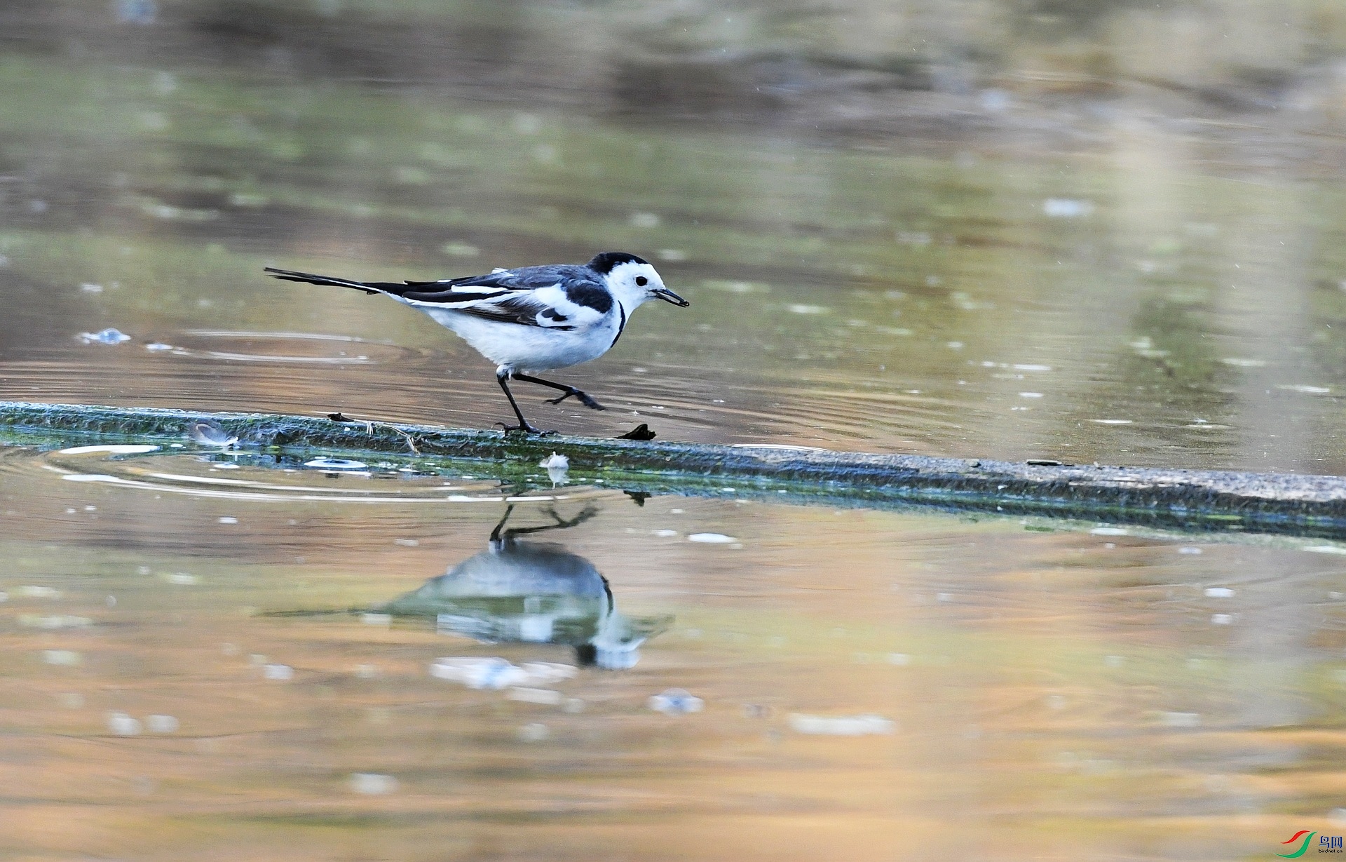 DSC_2182.jpg