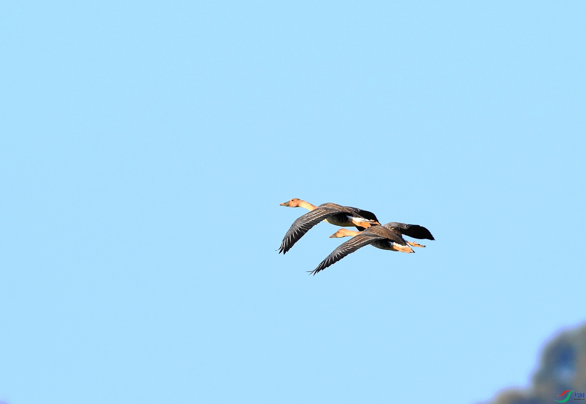 DSC_2348.jpg