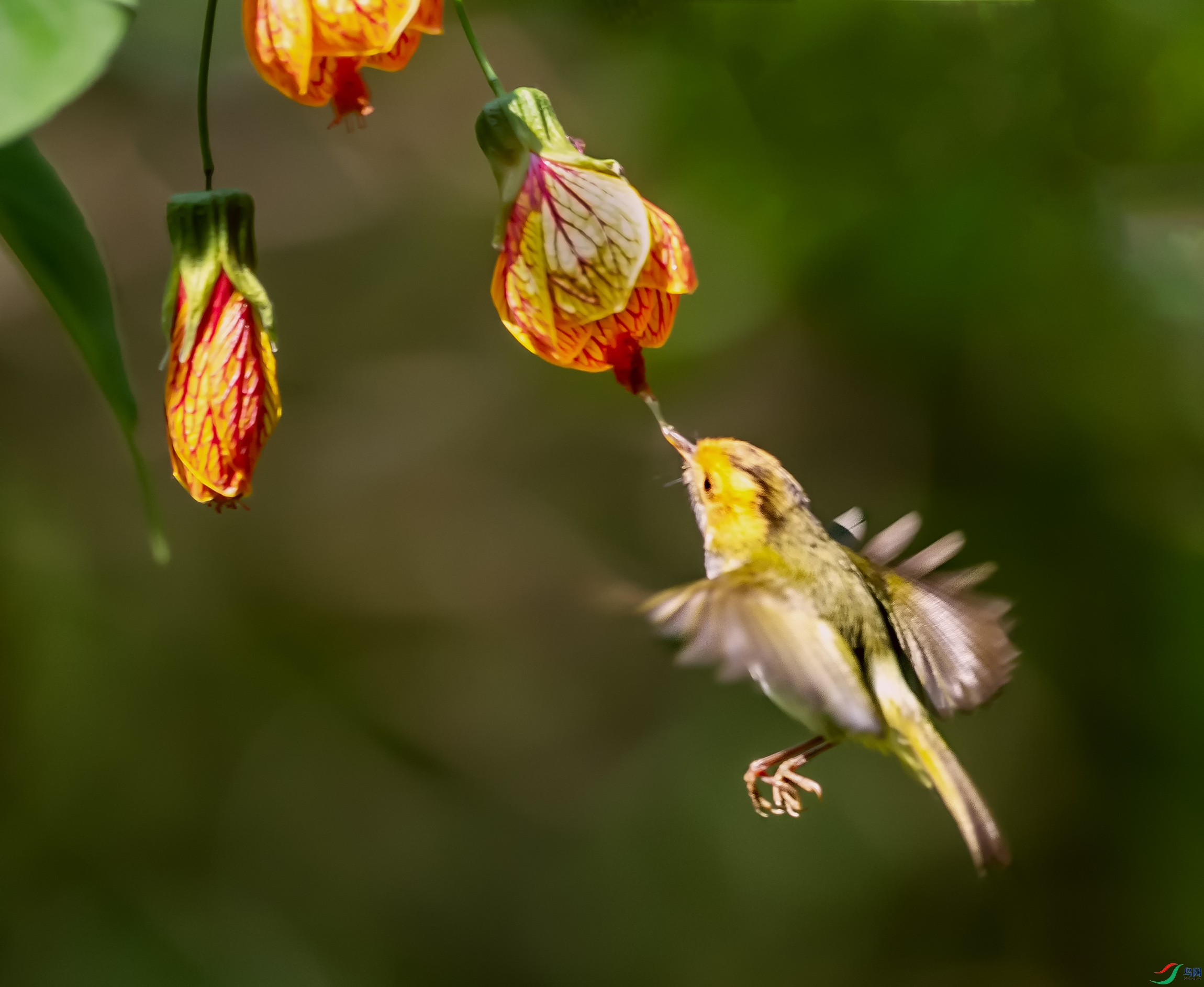 DSC_7765.jpg