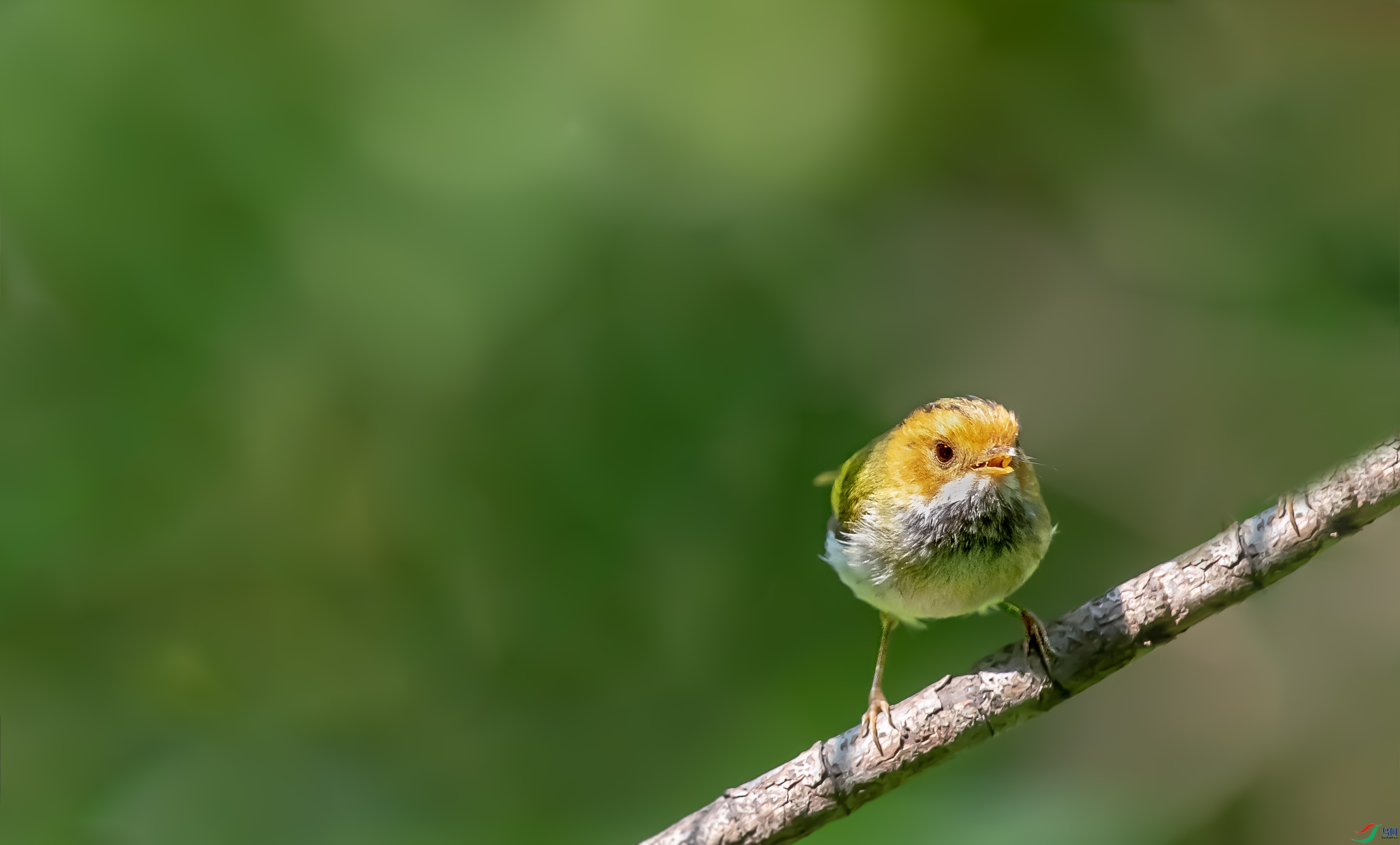 DSC_7772.jpg