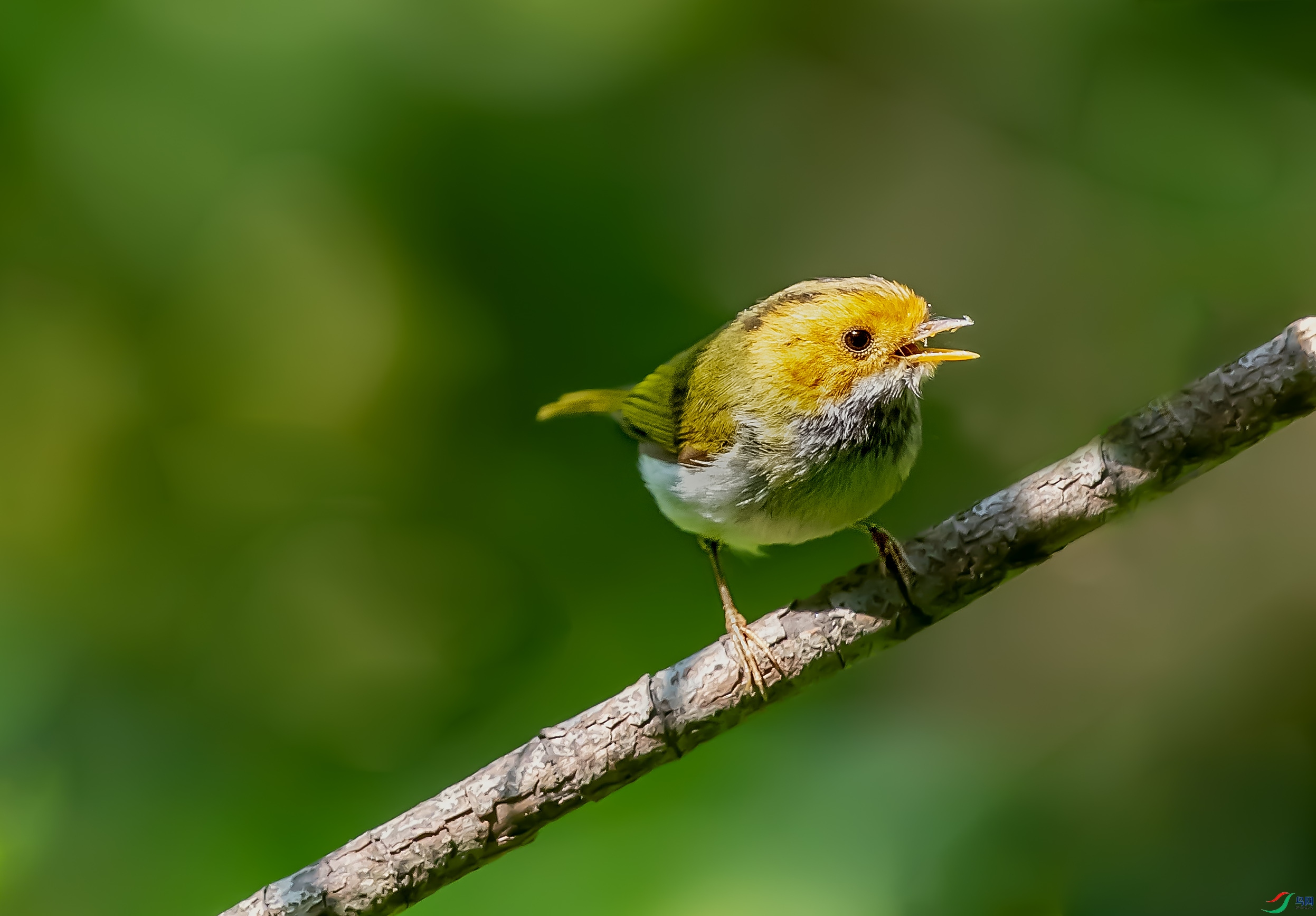 DSC_7775.jpg
