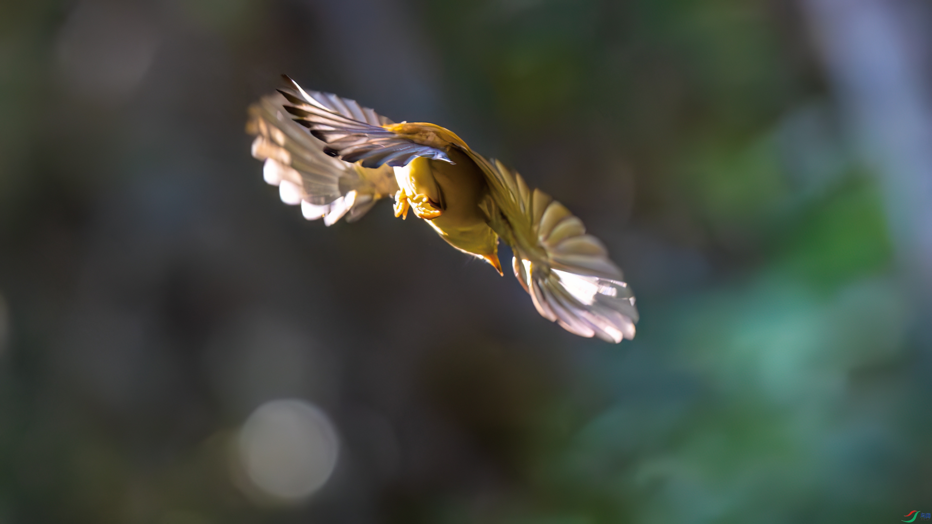 DSC_0599.jpg