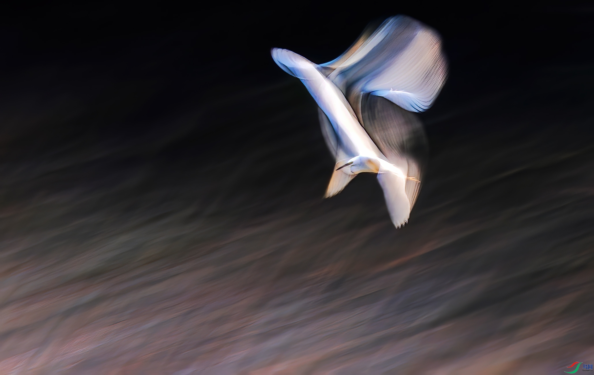 DSC_1833.jpg