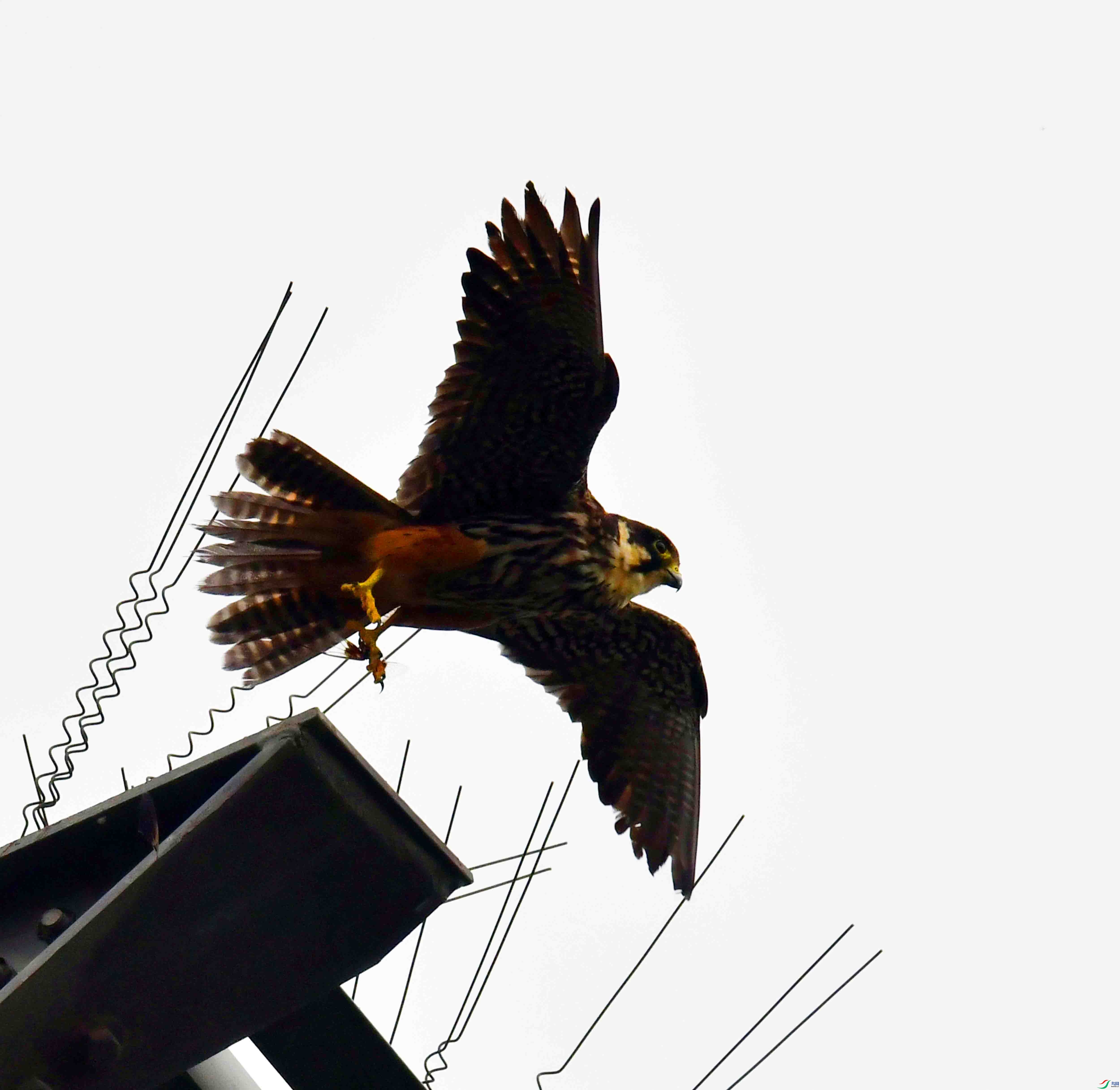 DSC_2555.JPG