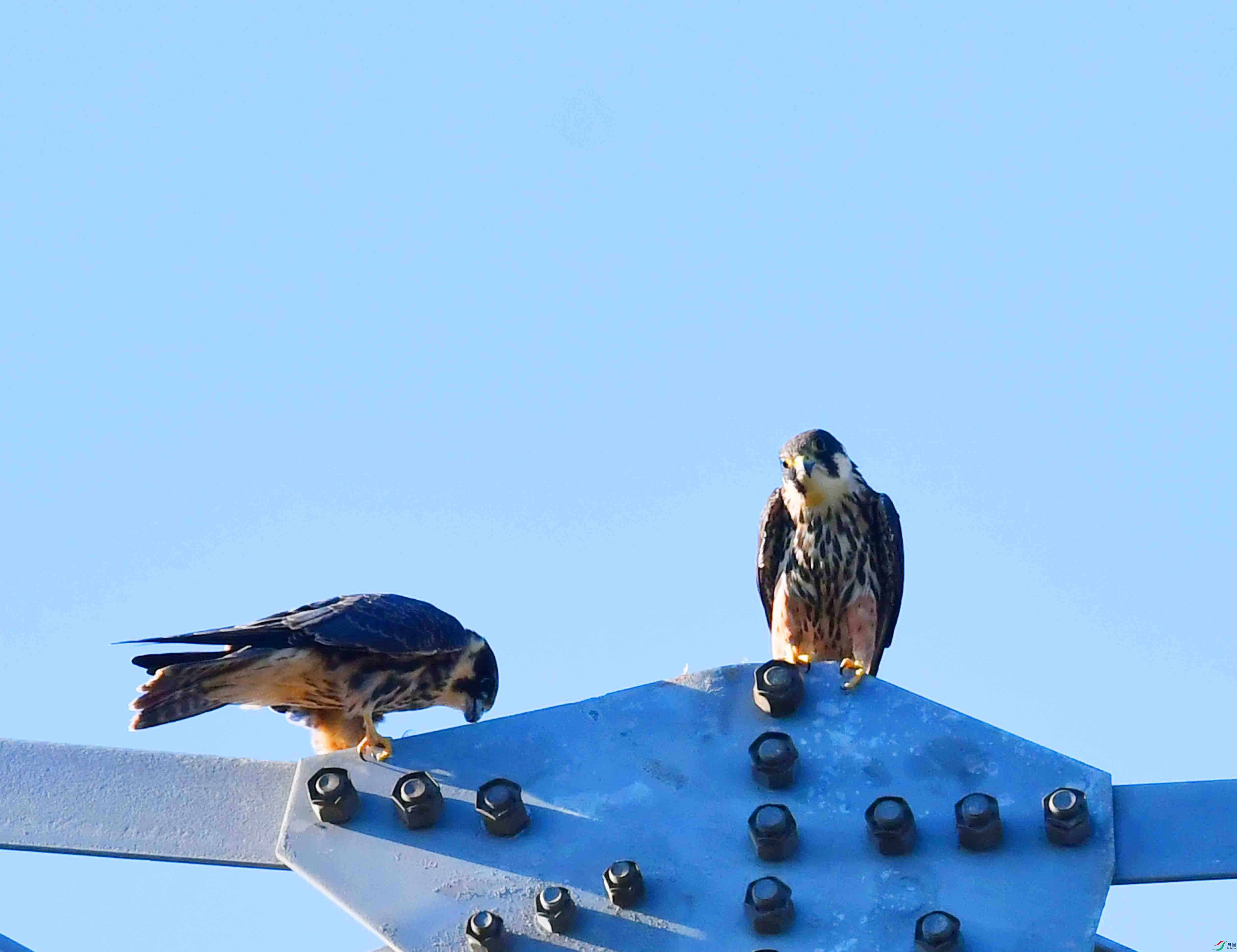 DSC_2571.JPG