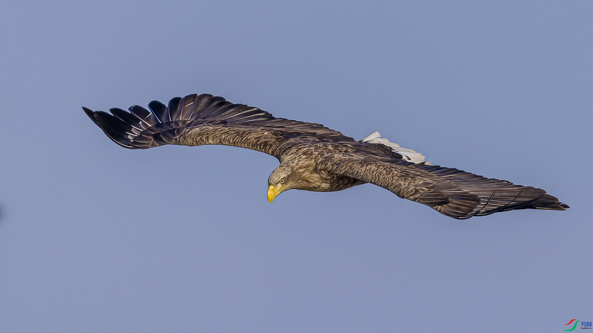 051A3274 ����n.jpg